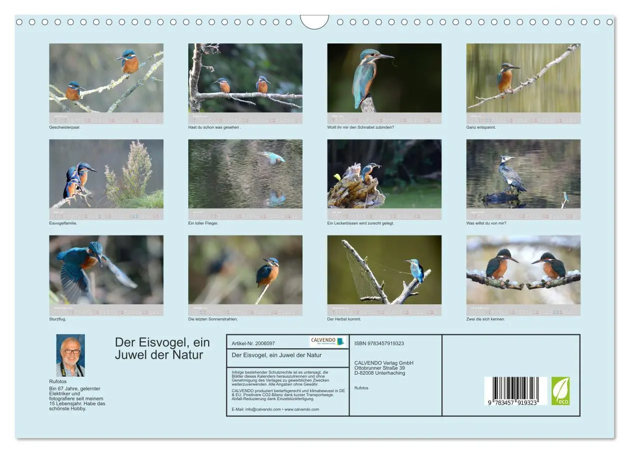 Bild: 9783457919323 | Der Eisvogel, ein Juwel der Natur (Wandkalender 2026 DIN A3 quer),...