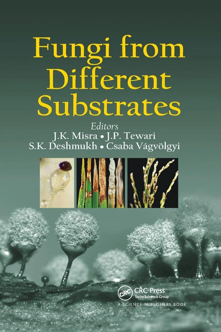 Cover: 9780367739423 | Fungi From Different Substrates | J. K. Misra (u. a.) | Taschenbuch