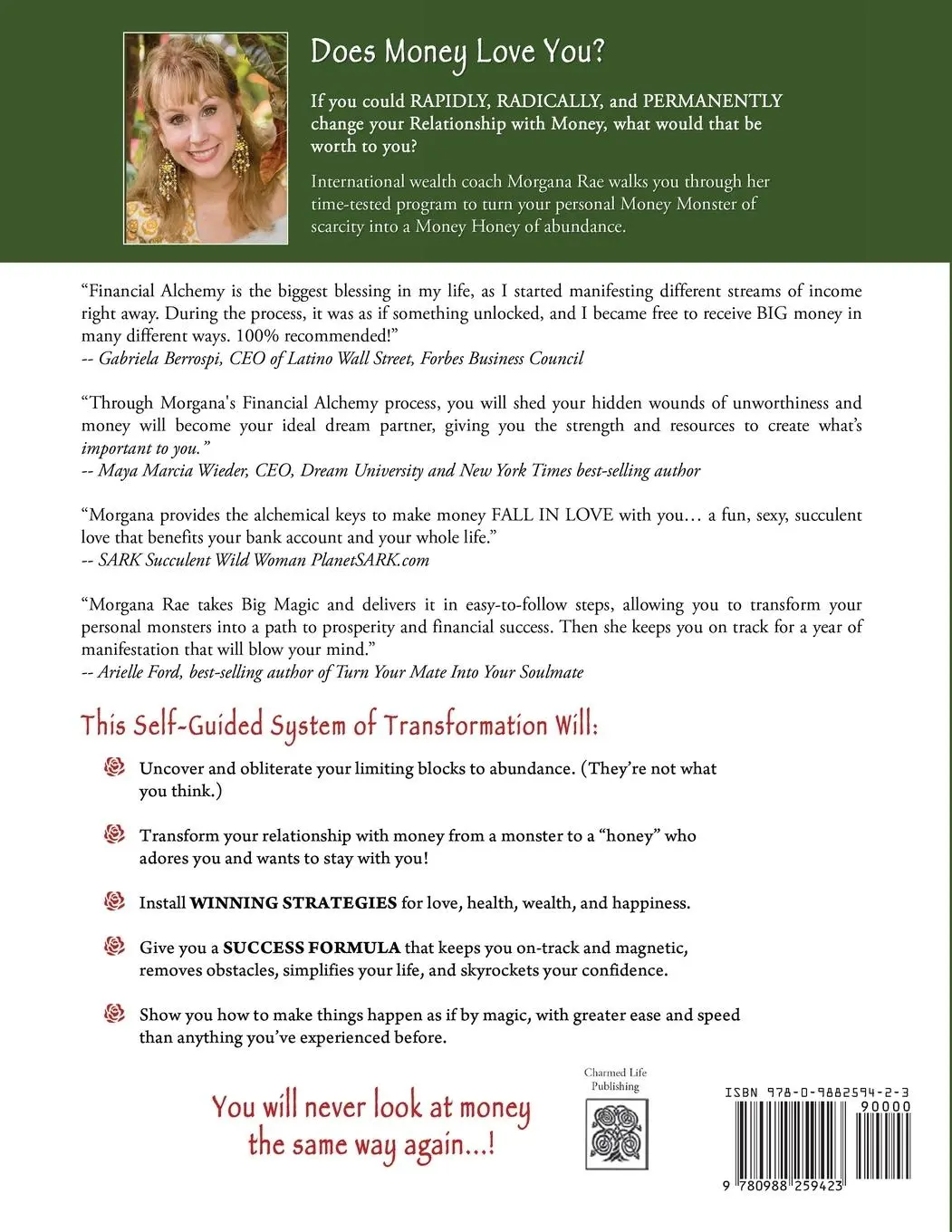 Rückseite: 9780988259423 | Financial Alchemy: Twelve Months of Magic and Manifestation (10...
