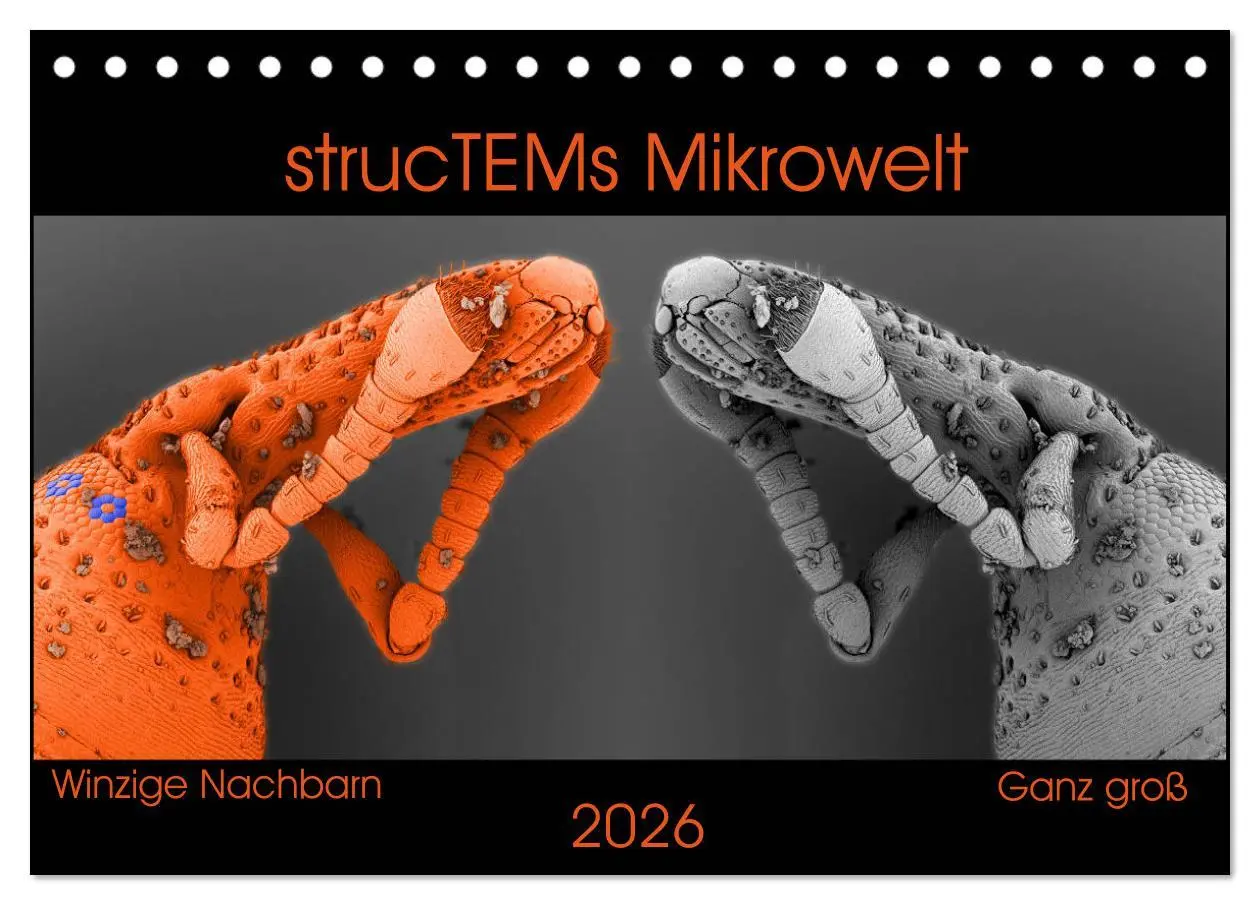 Cover: 9783457839423 | strucTEMs Mikrowelt - Winzige Nachbarn ganz groß (Tischkalender...
