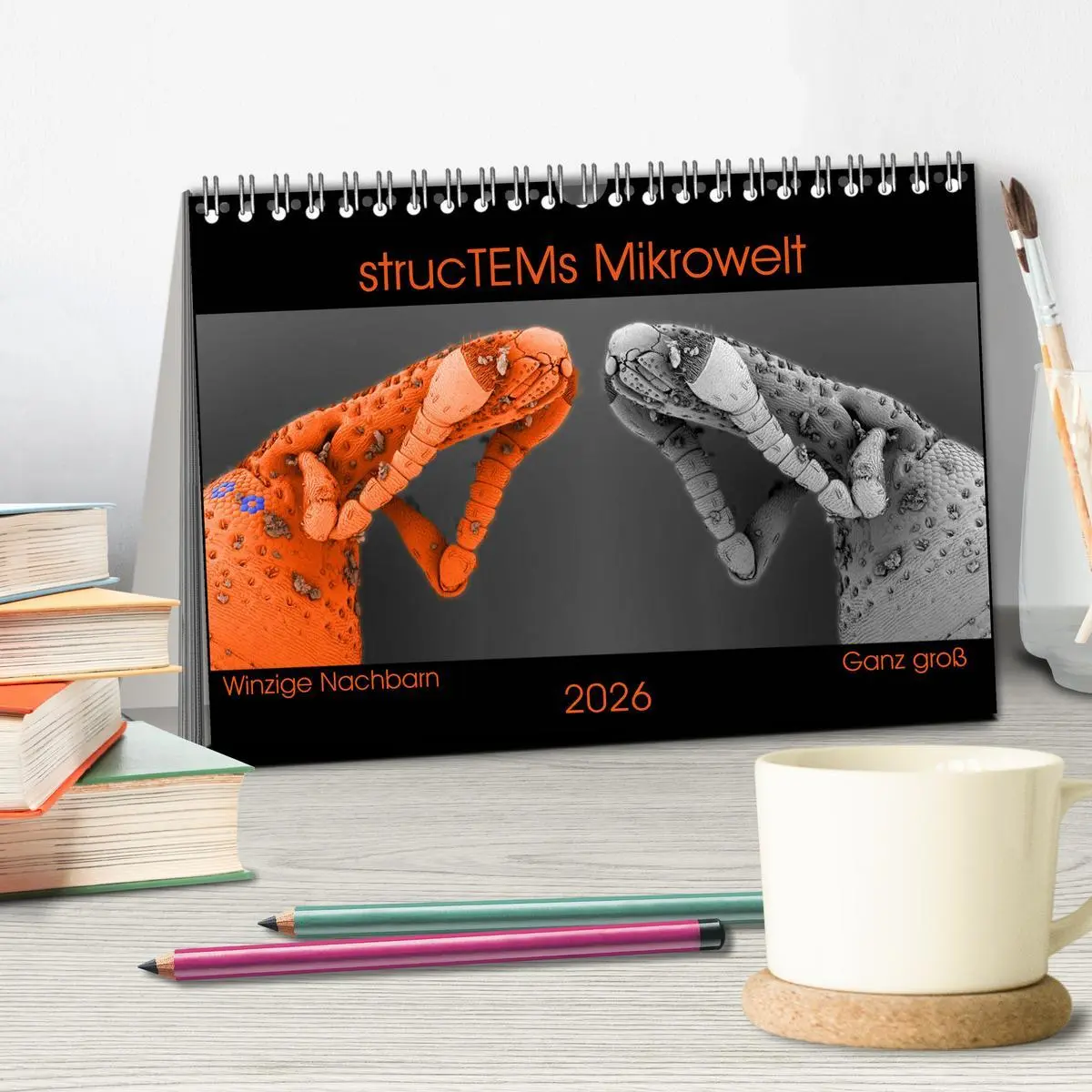 Bild: 9783457839423 | strucTEMs Mikrowelt - Winzige Nachbarn ganz groß (Tischkalender...