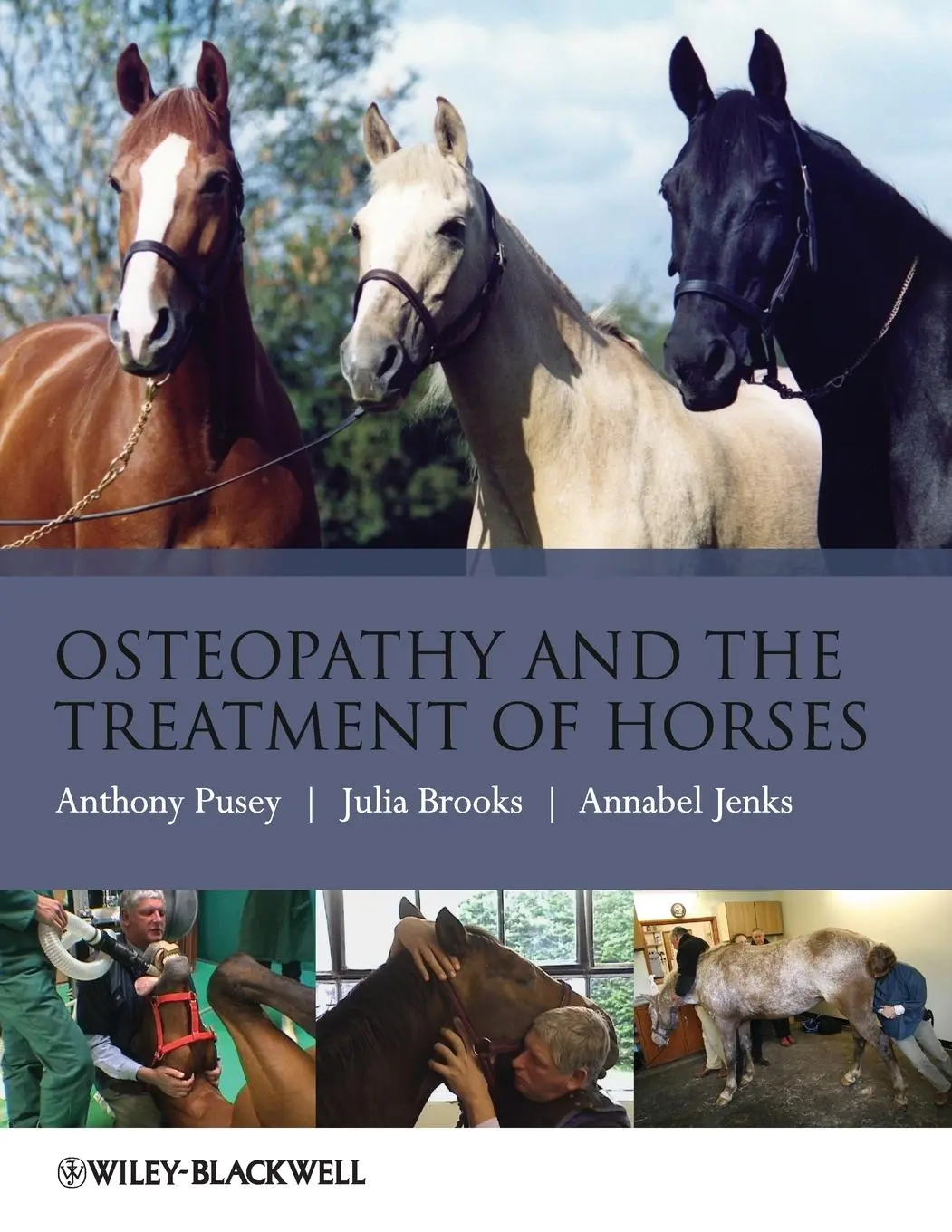Cover: 9781405169523 | Osteopathy Treatment Horses | Anthony Pusey (u. a.) | Taschenbuch
