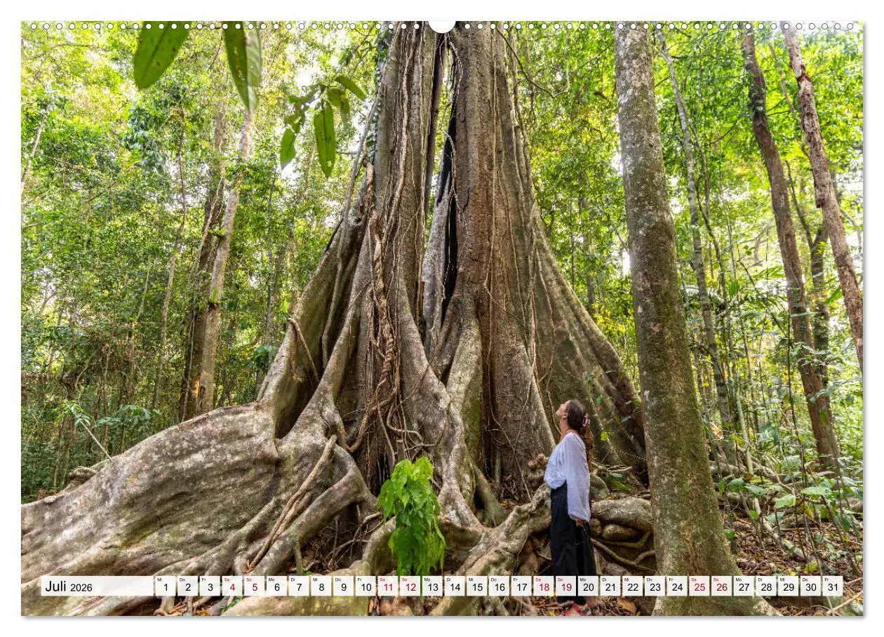 Bild: 9783457519523 | Thailand - Koh Kood (Wandkalender 2026 DIN A2 quer), CALVENDO...