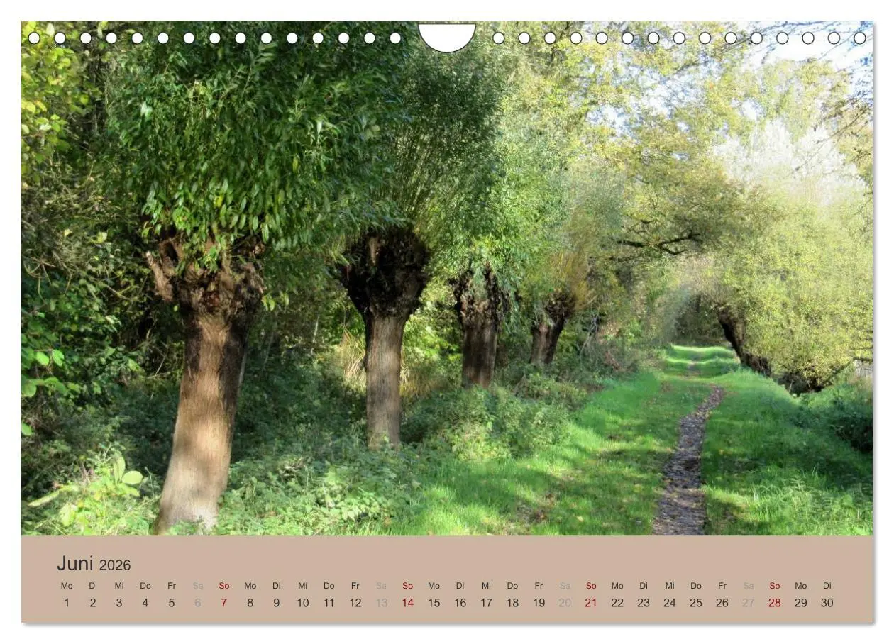 Bild: 9783516159523 | Krefelder Landschaften (Wandkalender 2026 DIN A4 quer), CALVENDO...