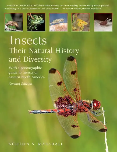 Cover: 9781770859623 | Insects: Their Natural History and Diversity | Stephen A Marshall