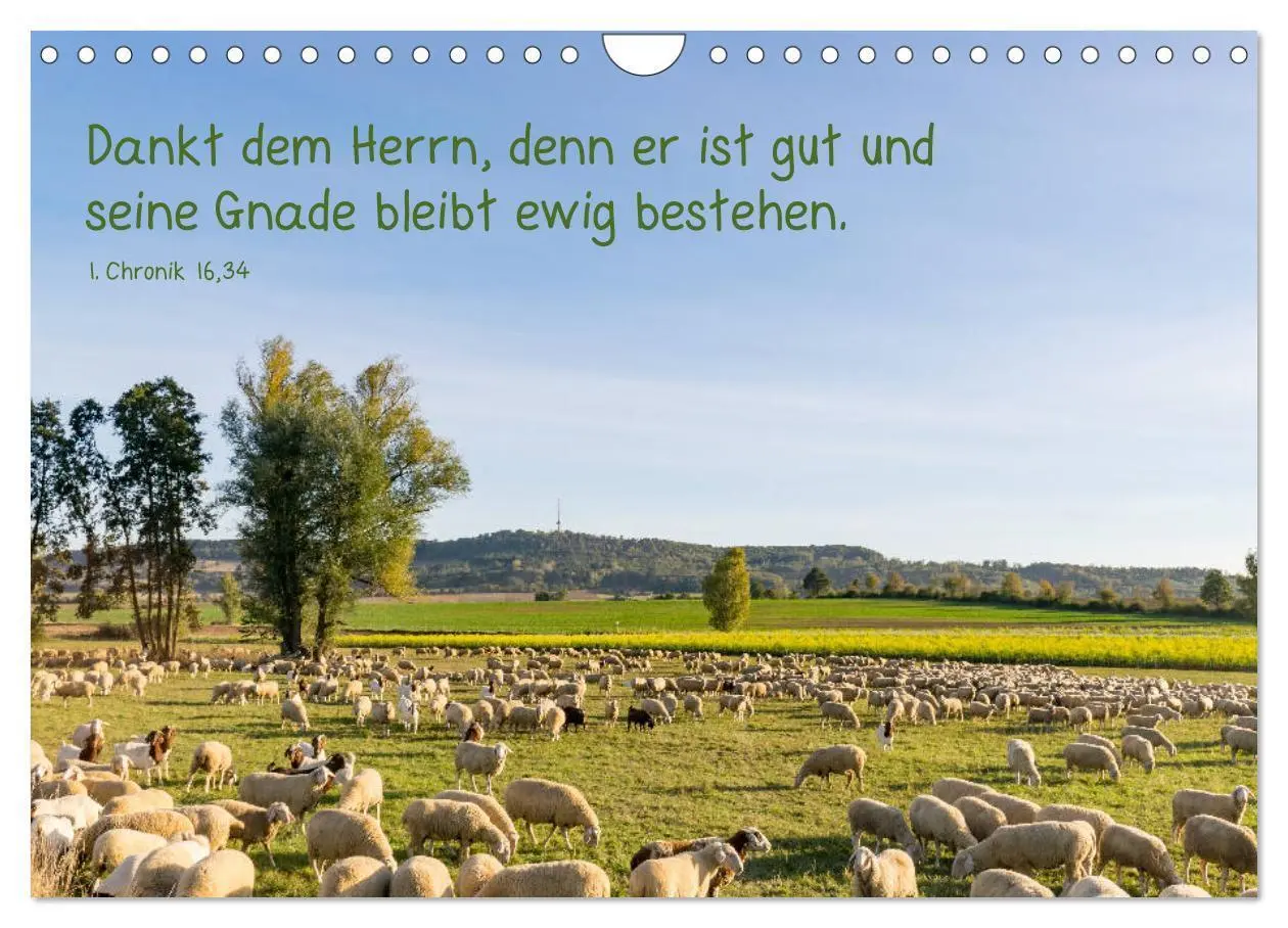 Bild: 9783435279623 | Heimat Hesselberg (Wandkalender 2025 DIN A4 quer), CALVENDO...