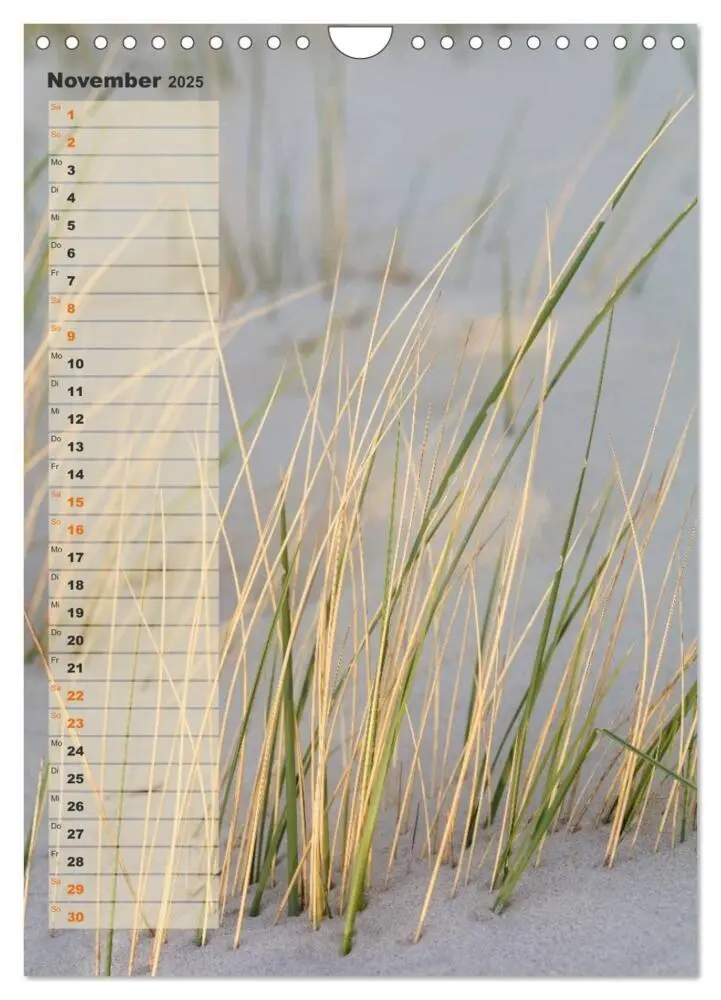 Bild: 9783457059623 | Zwischen Dünen und Watt / Geburtstagskalender (Wandkalender 2025...