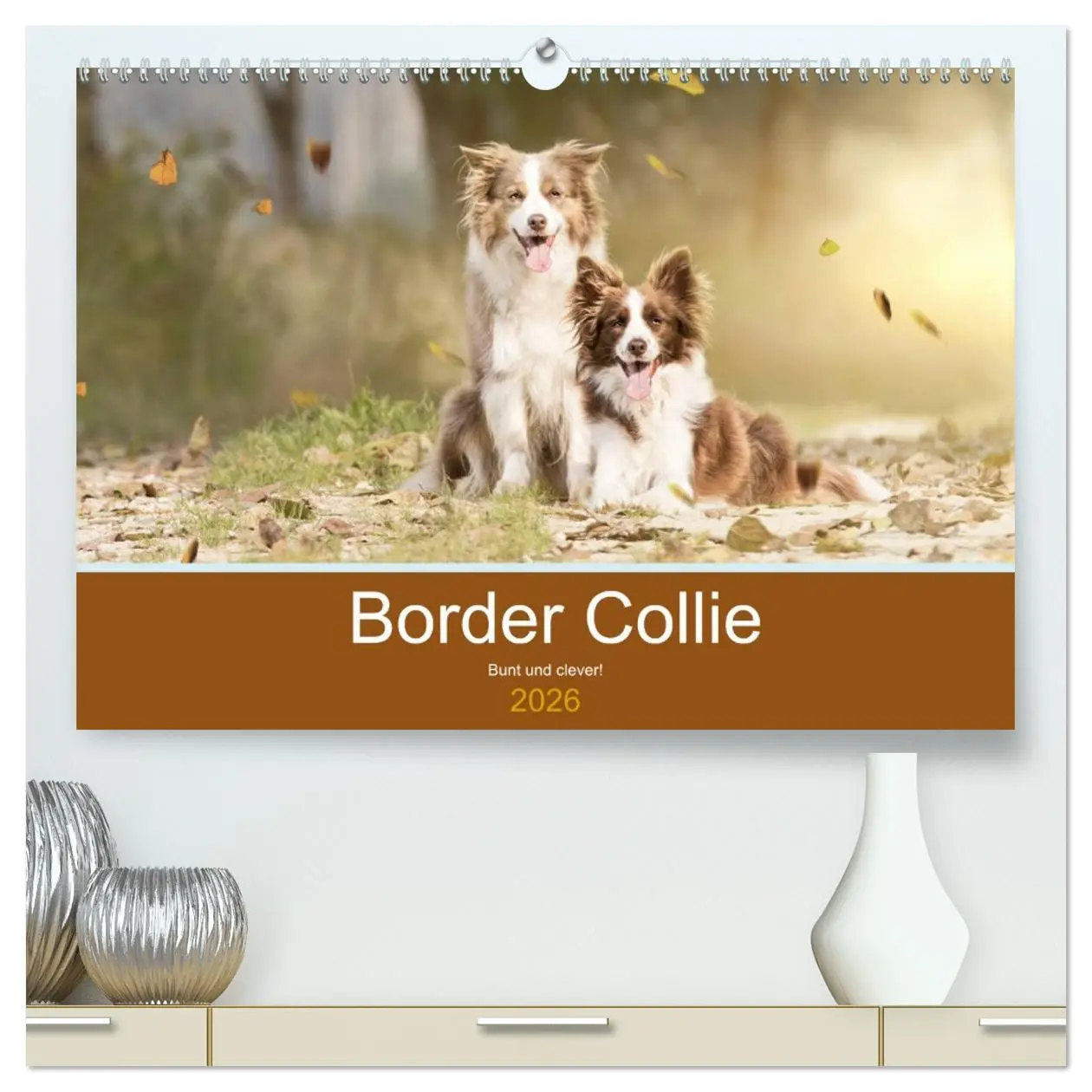 Cover: 9783457679623 | Border Collie - Bunt und clever! (hochwertiger Premium Wandkalender...