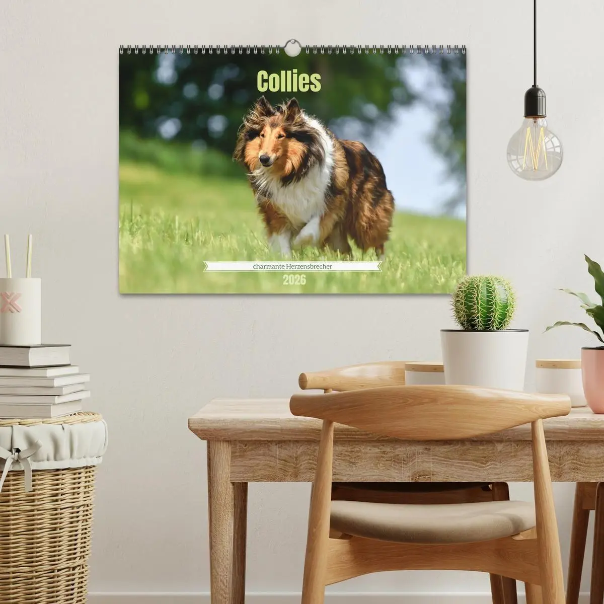 Bild: 9783516699623 | Collies - charmante Herzensbrecher (Wandkalender 2026 DIN A3 quer),...