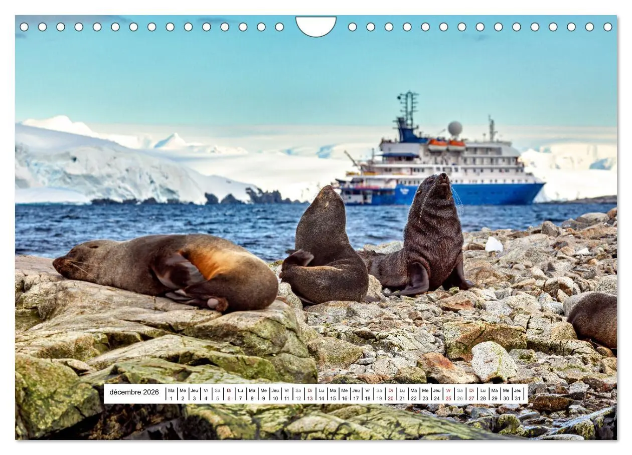 Bild: 9783457289723 | L'Antarctique magique (Calendrier mural 2026 DIN A4 vertical),...