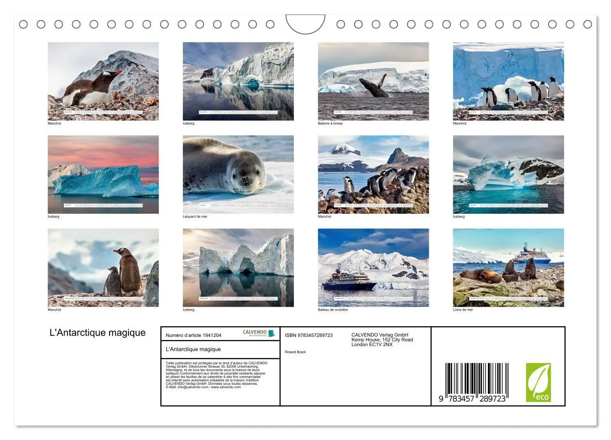 Bild: 9783457289723 | L'Antarctique magique (Calendrier mural 2026 DIN A4 vertical),...