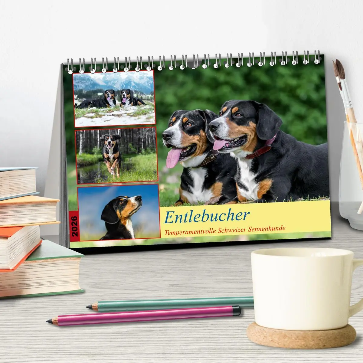 Bild: 9783457349823 | Entlebucher - Temperamentvolle Schweizer Sennenhunde (Tischkalender...