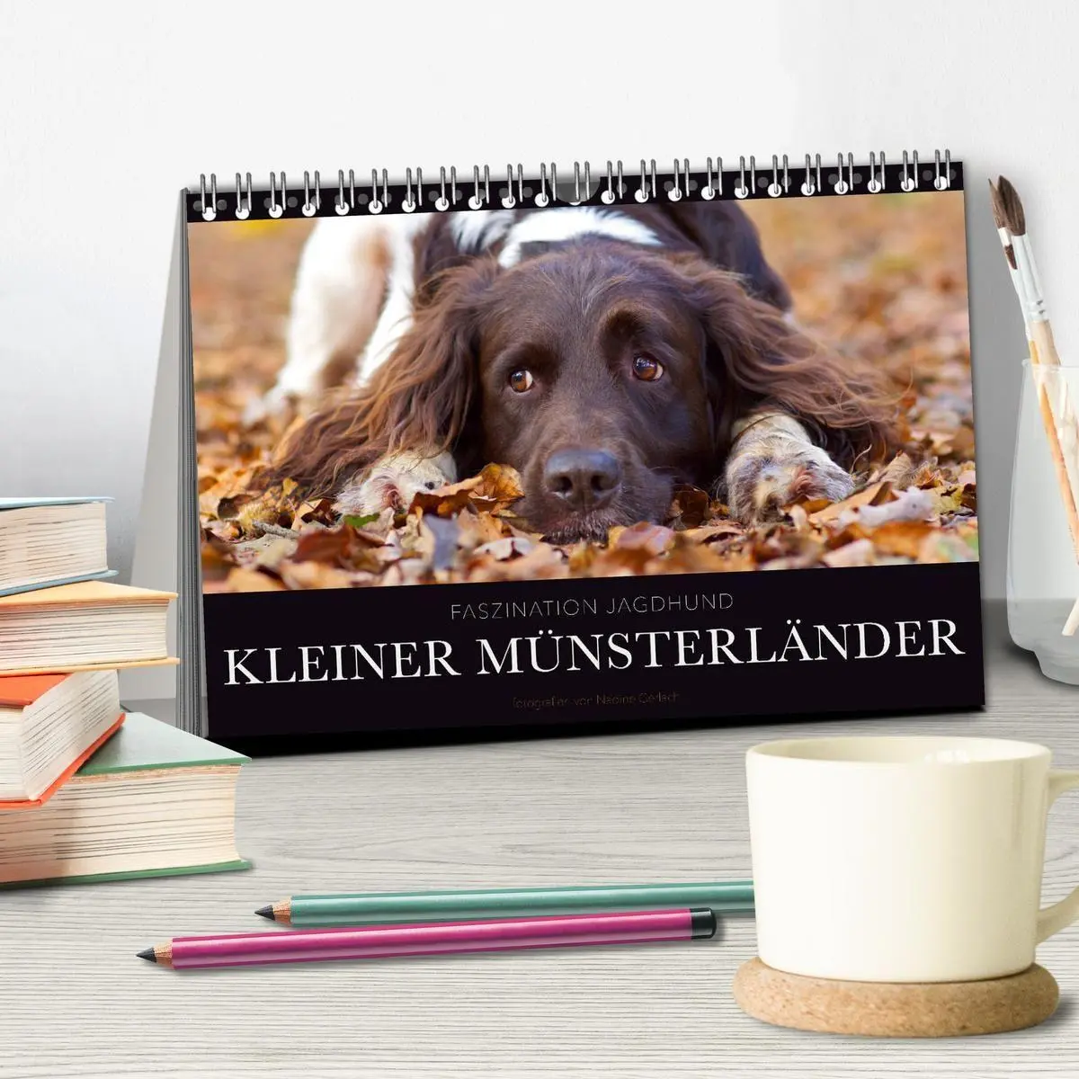 Bild: 9783569839823 | Faszination Jagdhund - Kleiner Münsterländer (Tischkalender 2027...