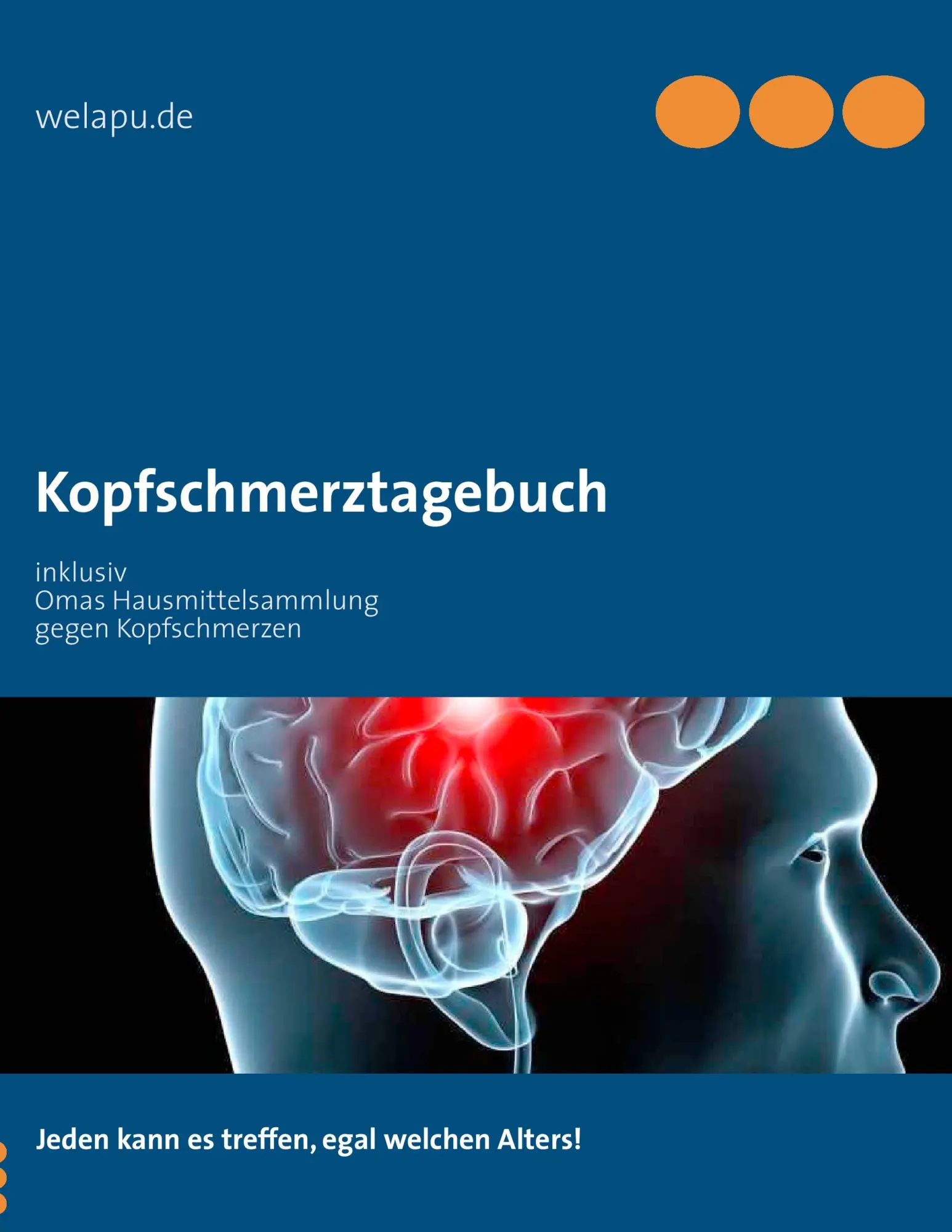 Cover: 9783844819823 | Kopfschmerztagebuch | Sebastian Lange | Taschenbuch | 24 S. | Deutsch