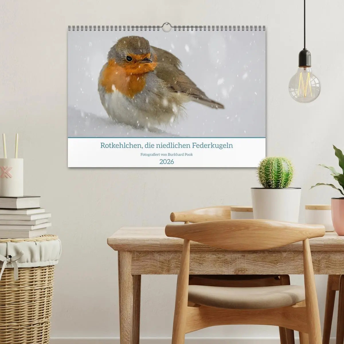 Bild: 9783457269923 | Rotkehlchen, die niedlichen Federkugeln (Wandkalender 2026 DIN A3...