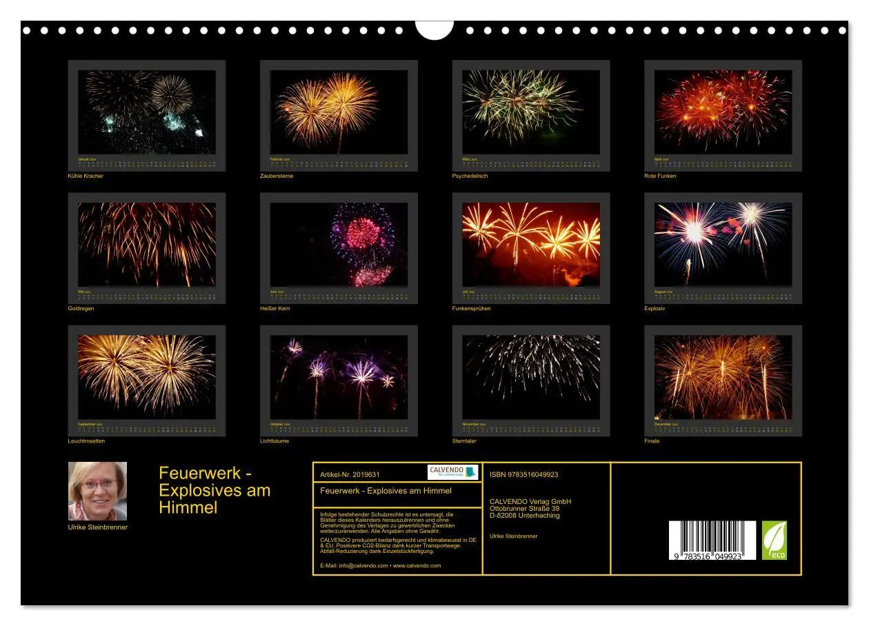 Bild: 9783516049923 | Feuerwerk - Explosives am Himmel (Wandkalender 2026 DIN A3 quer),...