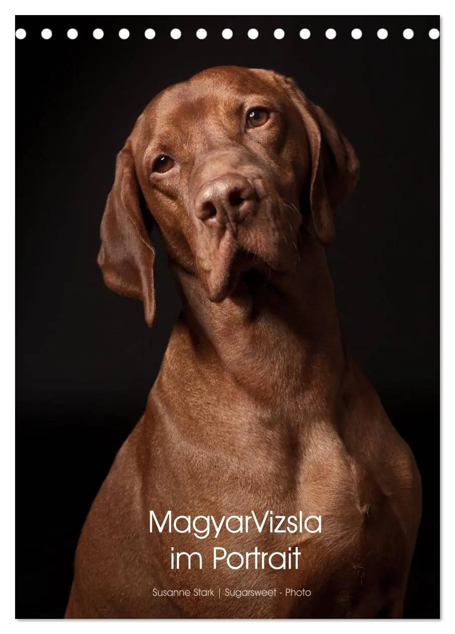 Cover: 9783516429923 | Magyar Vizsla im Portrait (Tischkalender 2026 DIN A5 hoch),...