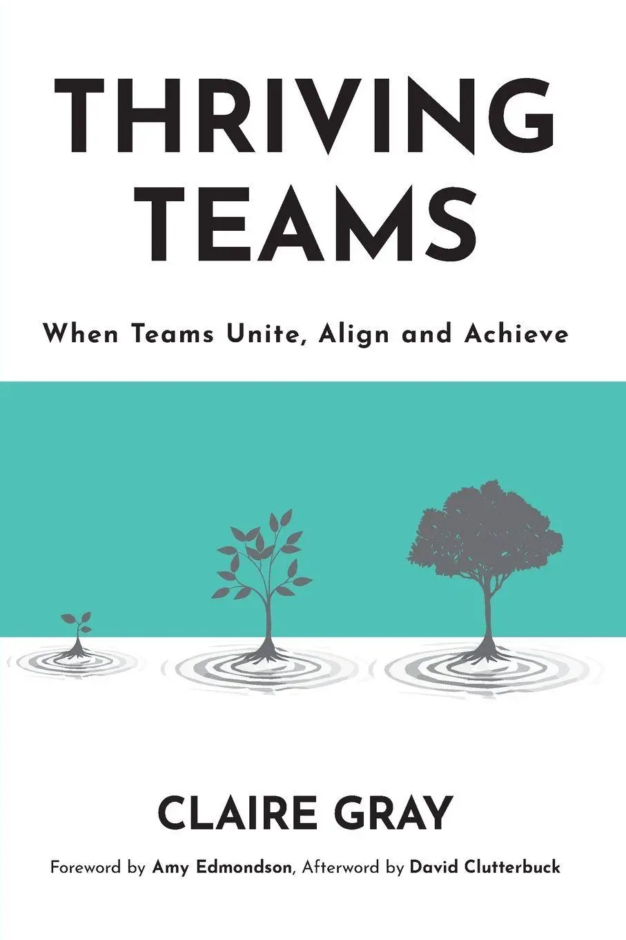 Cover: 9781923630024 | Thriving Teams | When Teams Unite, Align and Achieve | Claire Gray
