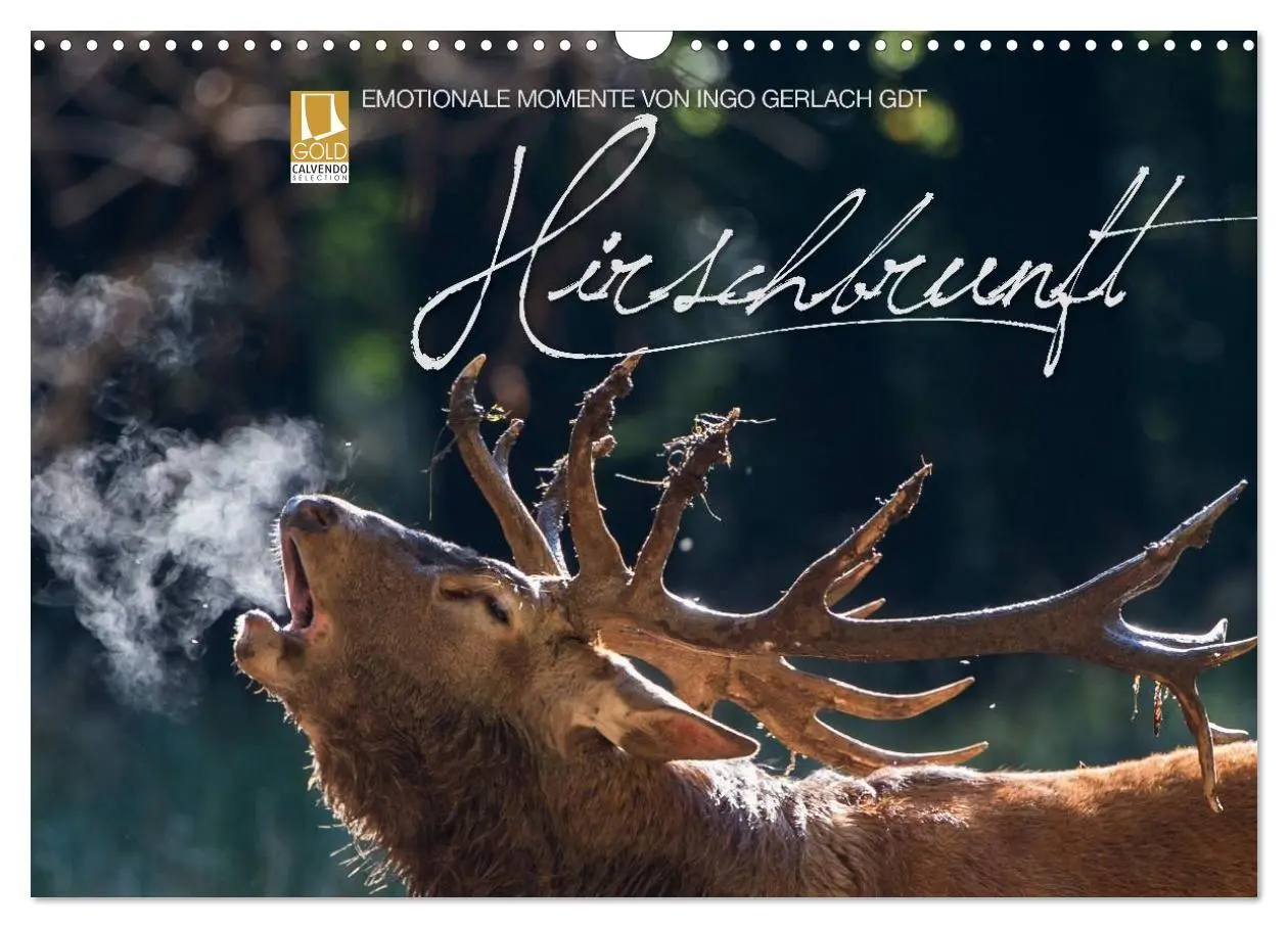 Cover: 9783516230024 | Emotionale Momente: Hirschbrunft (Wandkalender 2026 DIN A3 quer),...