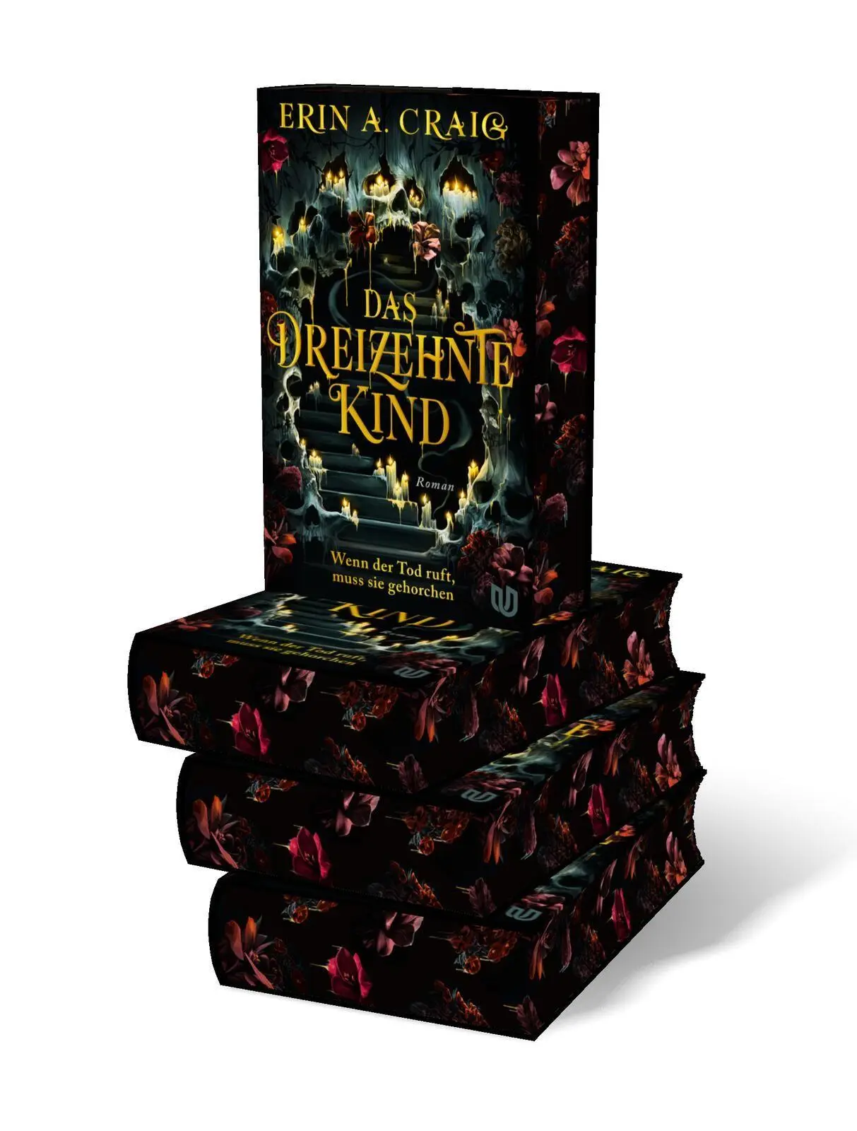 Bild: 9783690860024 | Das Dreizehnte Kind | Erin A. Craig | Buch | 672 S. | Deutsch | 2025