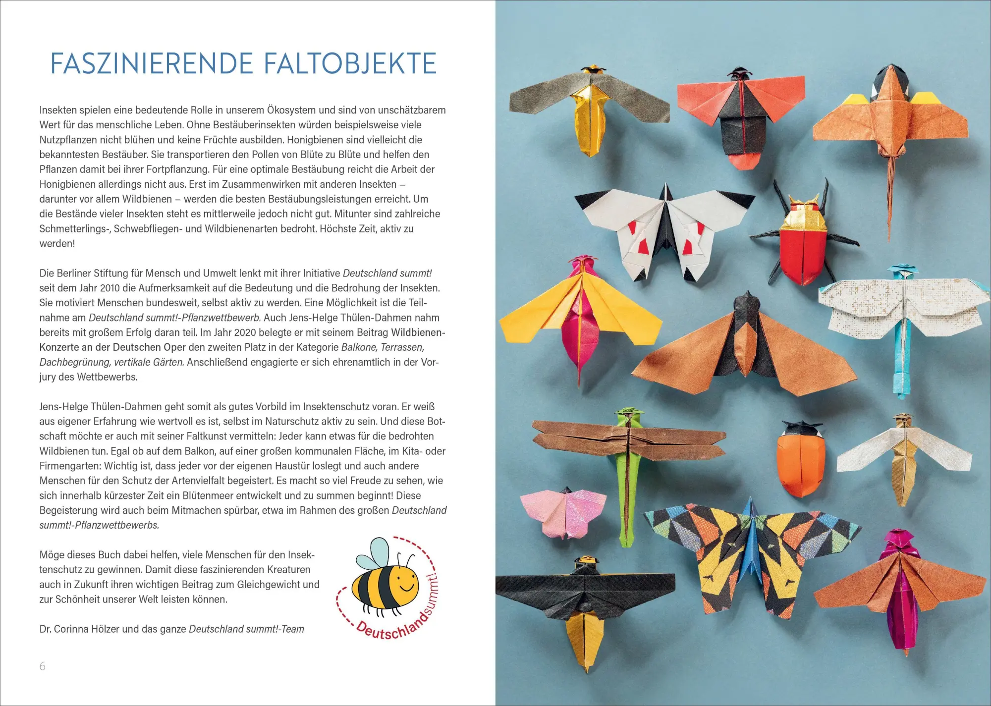 Bild: 9783838840024 | Origami: Bee, Bug und Butterfly | Zauberhafte Insekten zum Nachfalten.