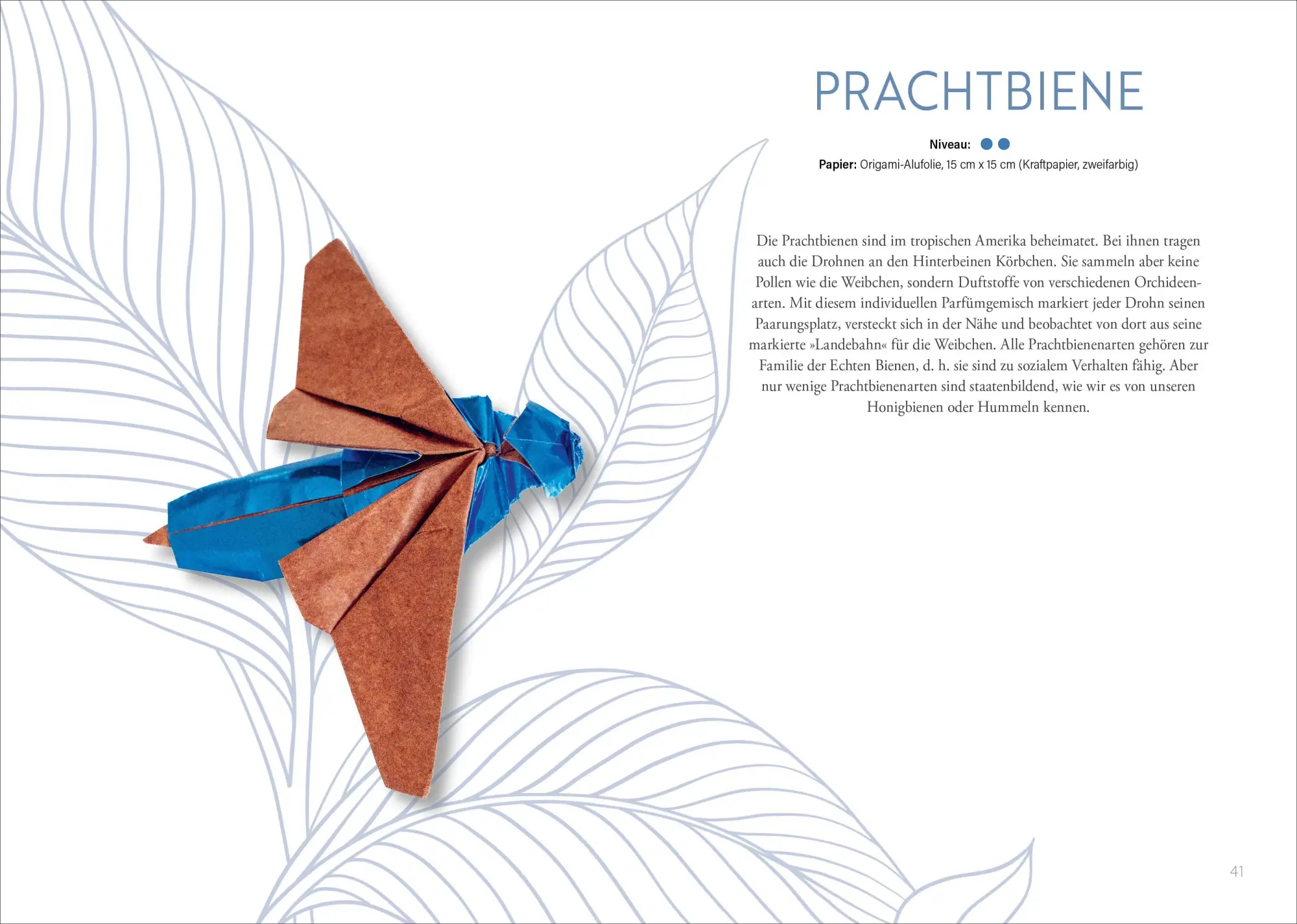 Bild: 9783838840024 | Origami: Bee, Bug und Butterfly | Zauberhafte Insekten zum Nachfalten.