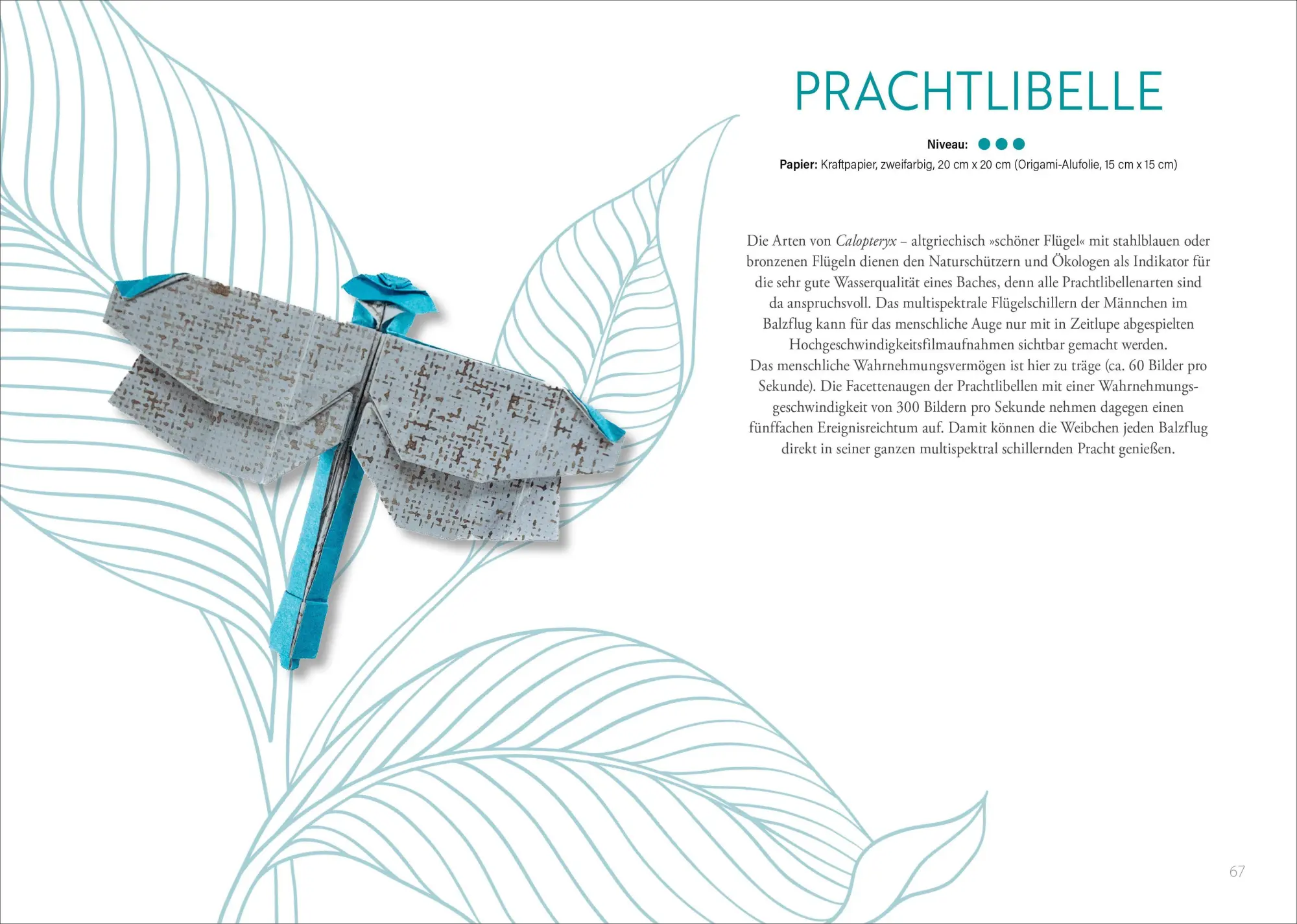 Bild: 9783838840024 | Origami: Bee, Bug und Butterfly | Zauberhafte Insekten zum Nachfalten.