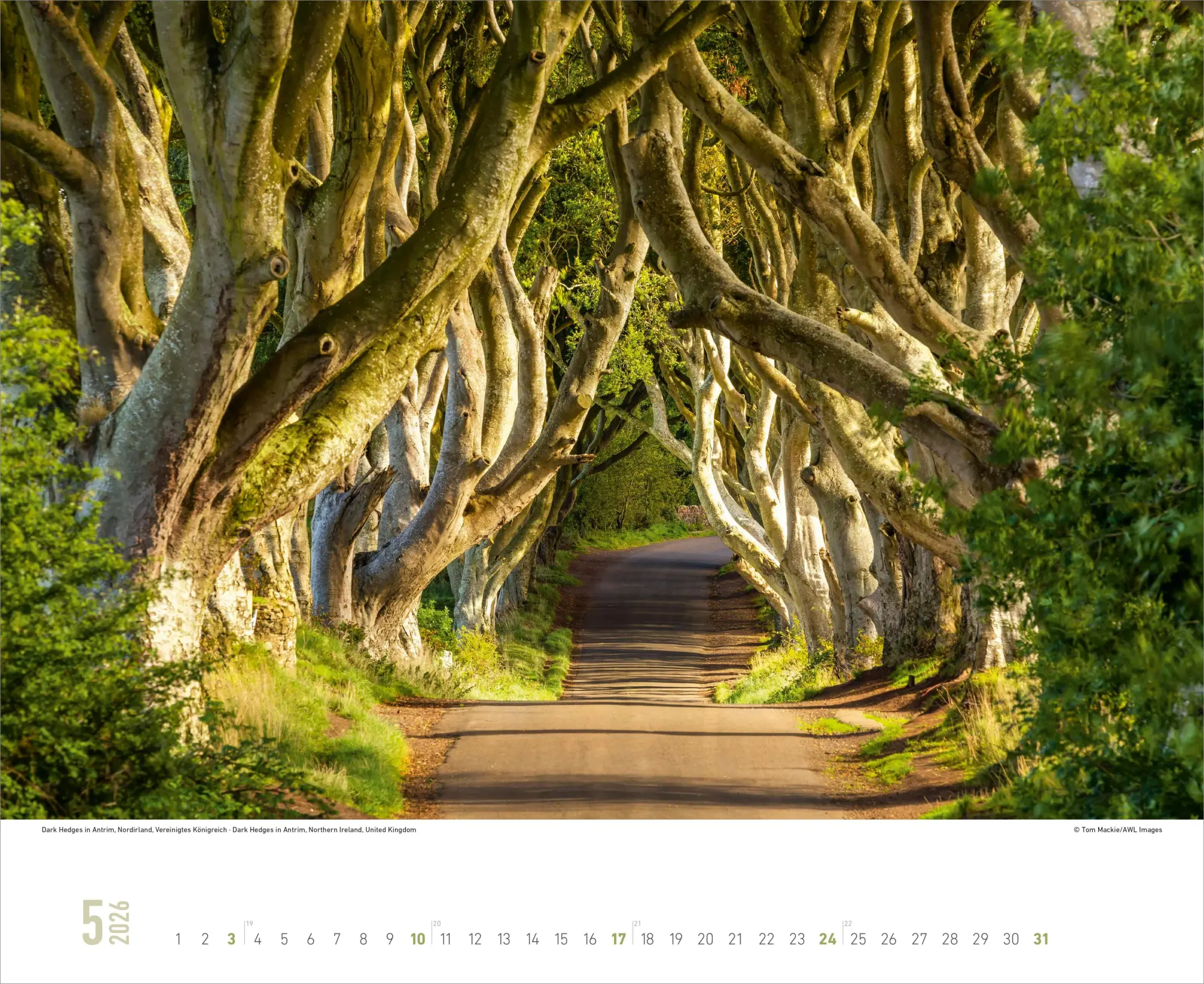 Bild: 4069095000124 | ALPHA EDITION - Nordische Impressionen 2026 - 52 x 42,5 cm | Kalender