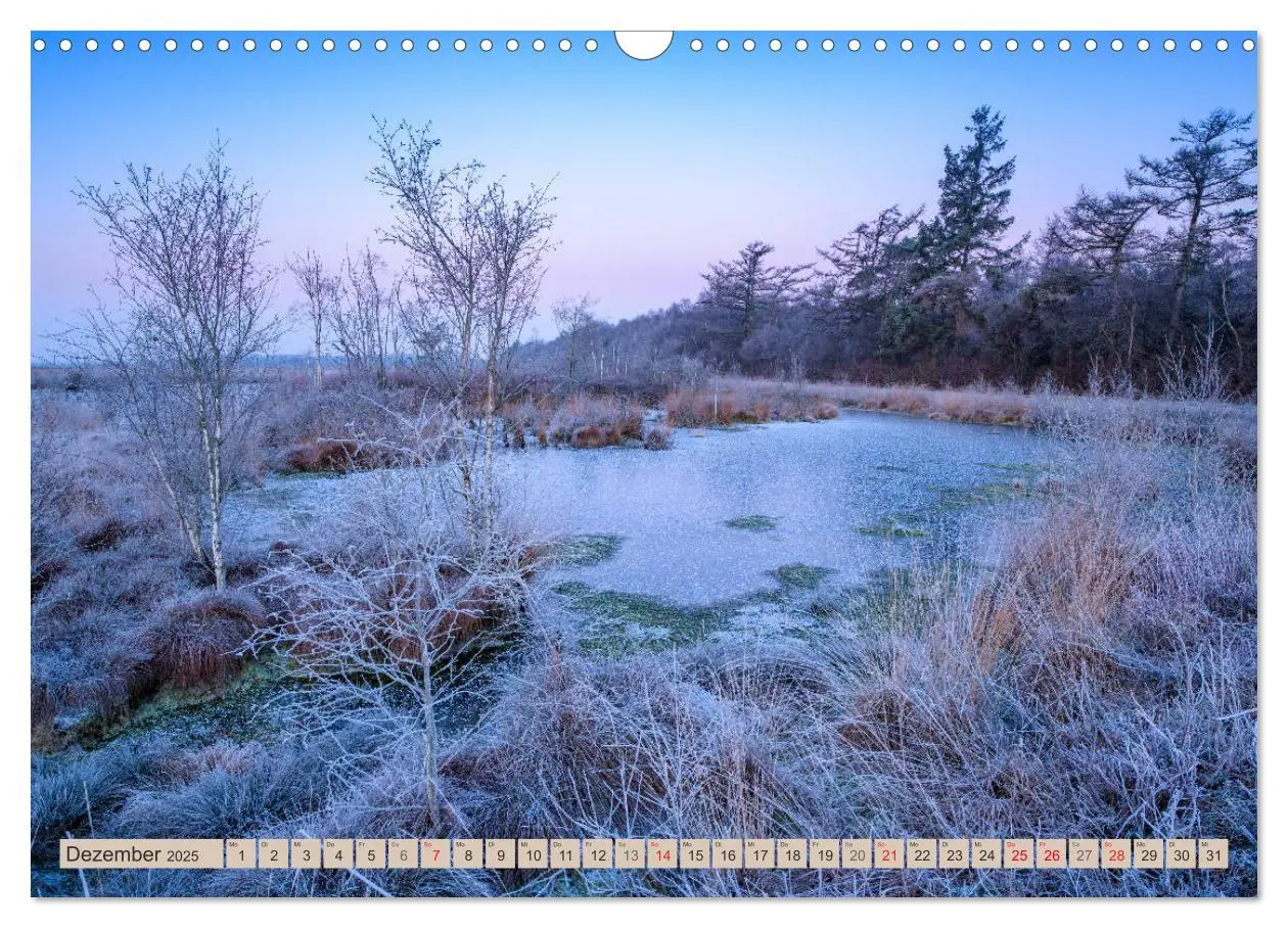 Bild: 9783435110124 | Deutschlands Moore (Wandkalender 2025 DIN A3 quer), CALVENDO...