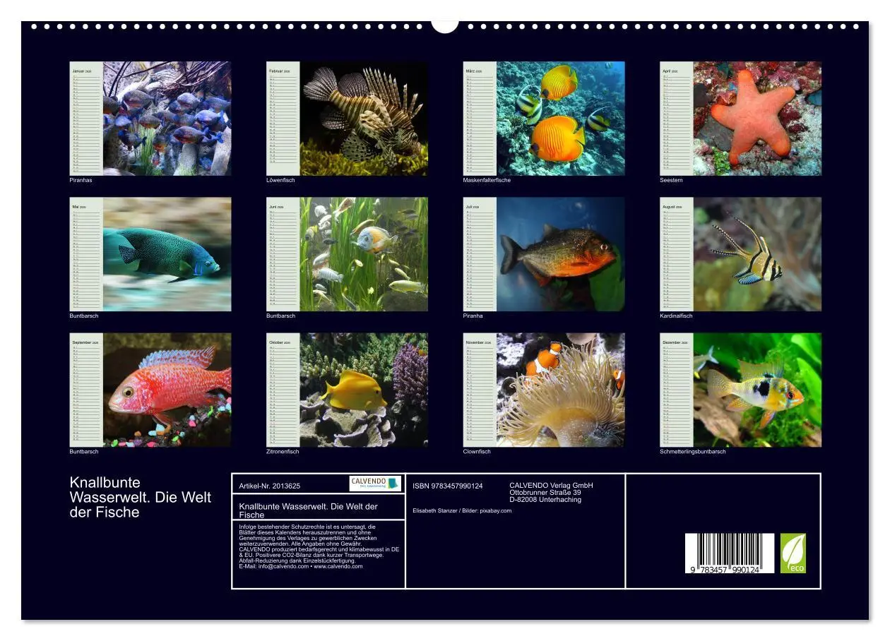 Bild: 9783457990124 | Knallbunte Wasserwelt. Die Welt der Fische (hochwertiger Premium...