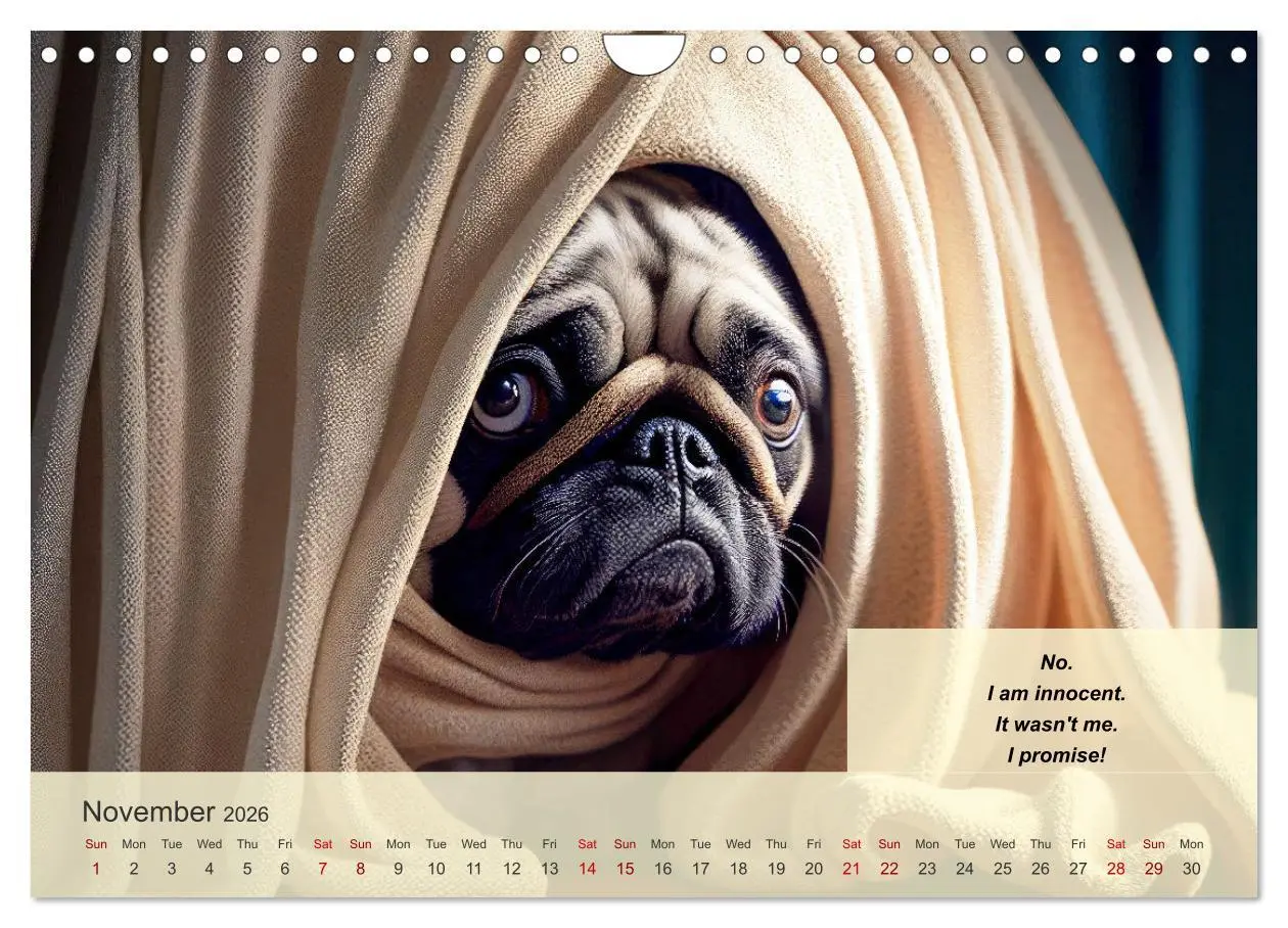 Bild: 9783516530124 | Great fun for pug lovers (Wall Calendar 2026 DIN A4 landscape),...