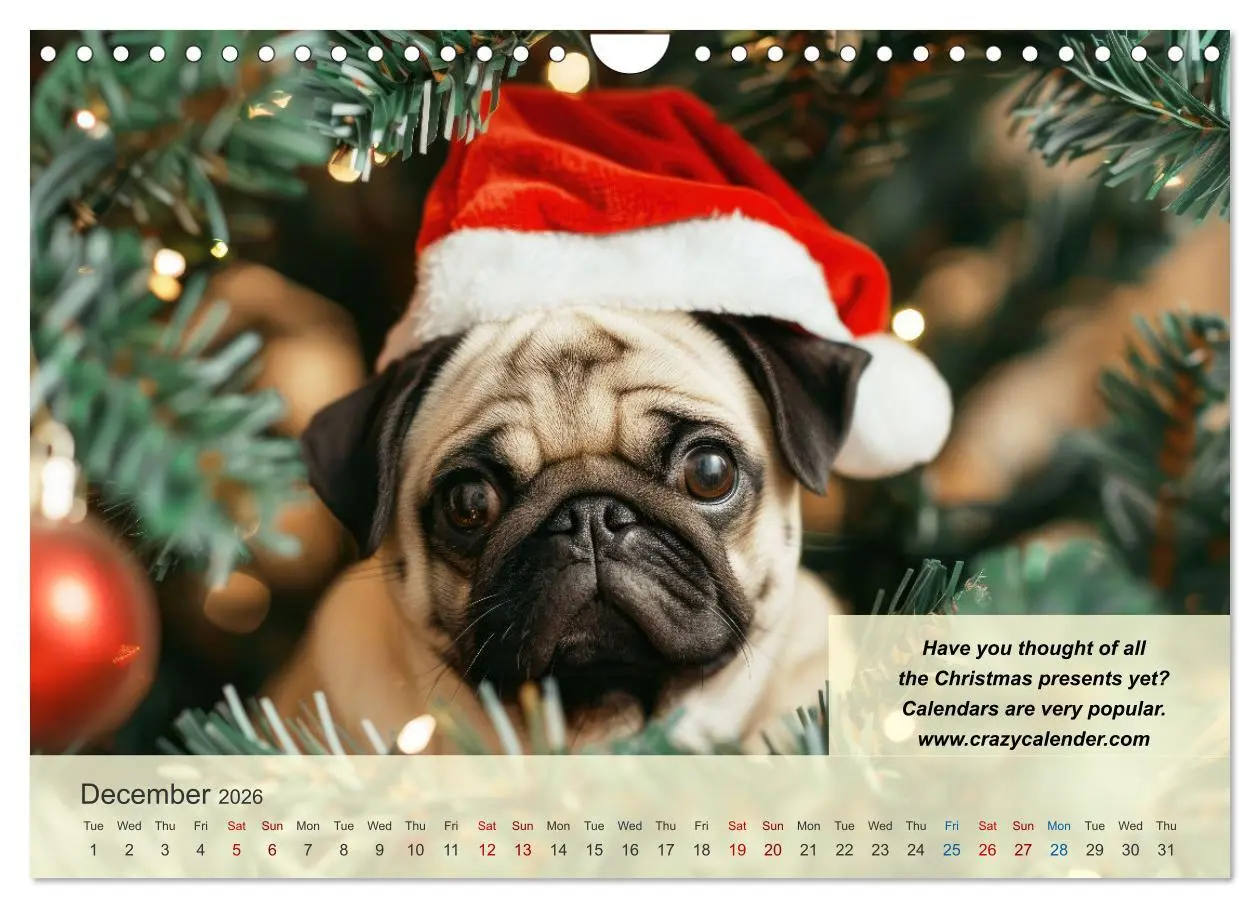 Bild: 9783516530124 | Great fun for pug lovers (Wall Calendar 2026 DIN A4 landscape),...