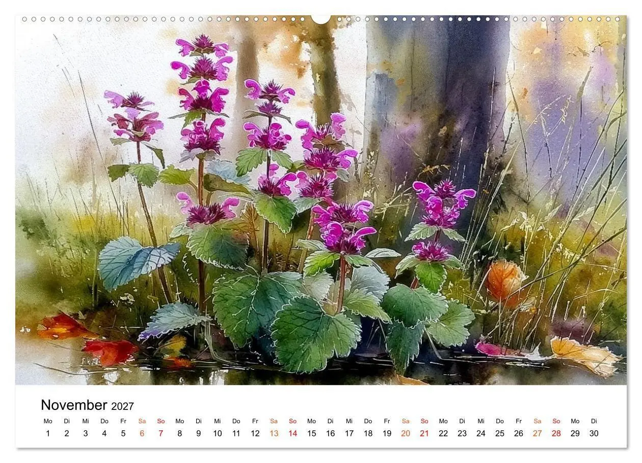 Bild: 9783516770124 | Wildblumen zwischen Moos und Farn (hochwertiger Premium...