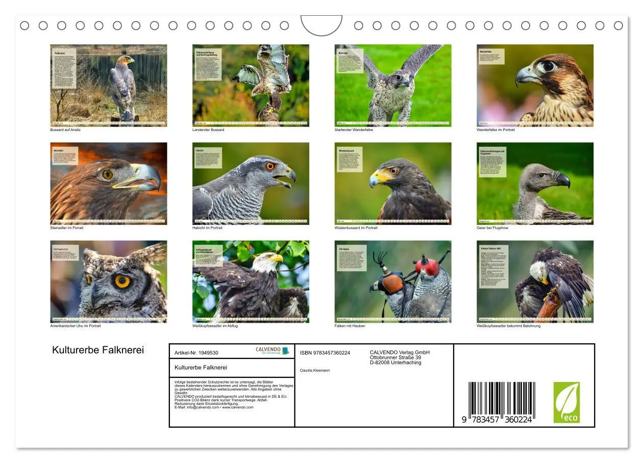 Bild: 9783457360224 | Kulturerbe Falknerei (Wandkalender 2026 DIN A4 quer), CALVENDO...