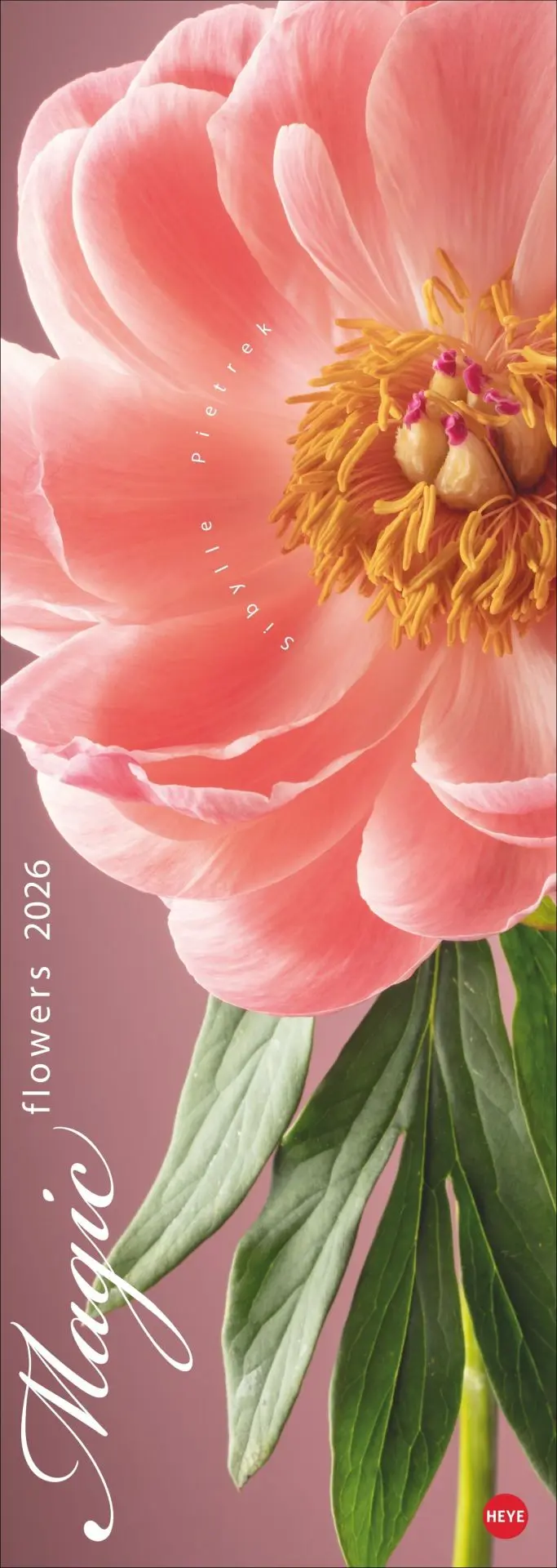 Cover: 9783756410224 | Magic Flowers Vertical Kalender 2026 | Sibylle Pietrek | Kalender