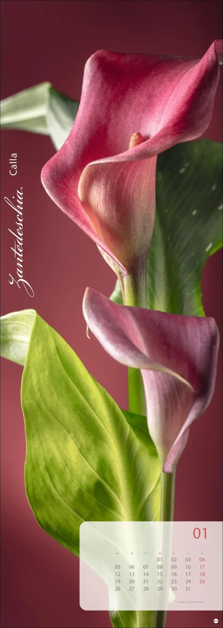 Bild: 9783756410224 | Magic Flowers Vertical Kalender 2026 | Sibylle Pietrek | Kalender