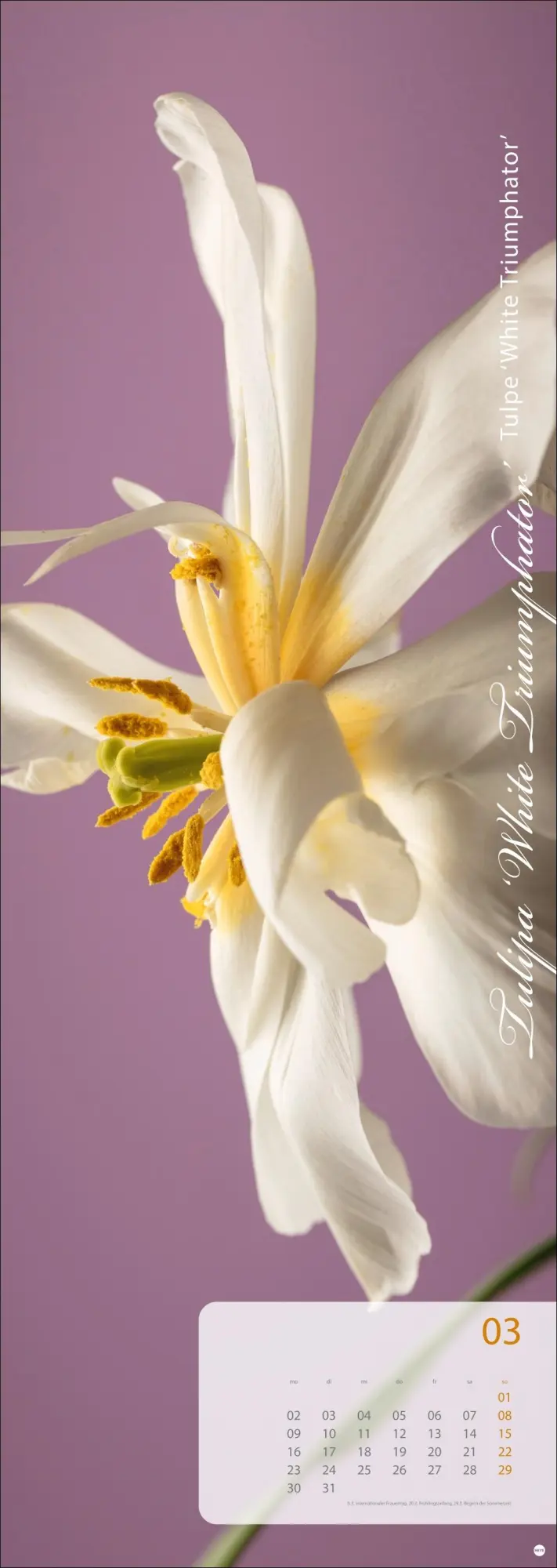 Bild: 9783756410224 | Magic Flowers Vertical Kalender 2026 | Sibylle Pietrek | Kalender