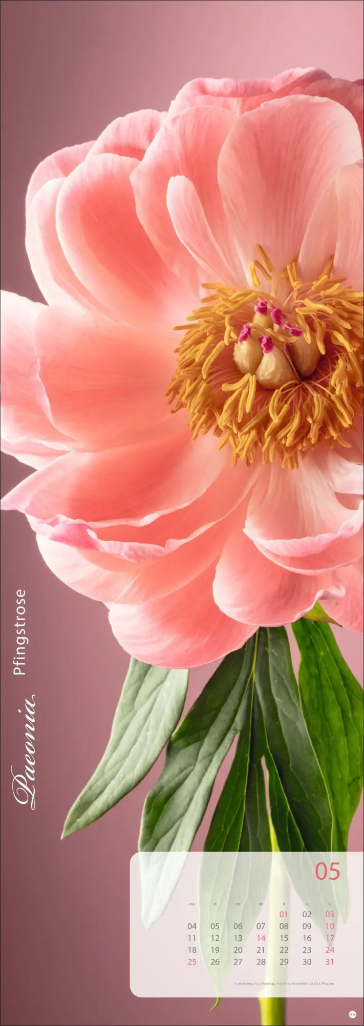 Bild: 9783756410224 | Magic Flowers Vertical Kalender 2026 | Sibylle Pietrek | Kalender