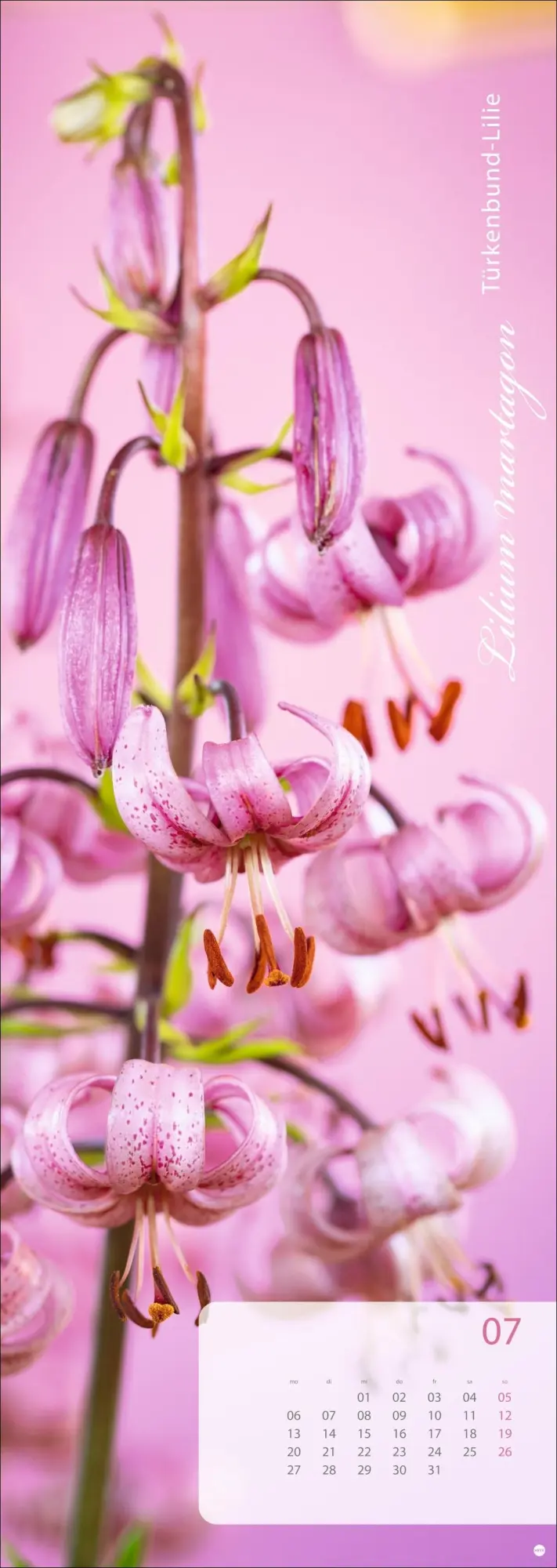 Bild: 9783756410224 | Magic Flowers Vertical Kalender 2026 | Sibylle Pietrek | Kalender