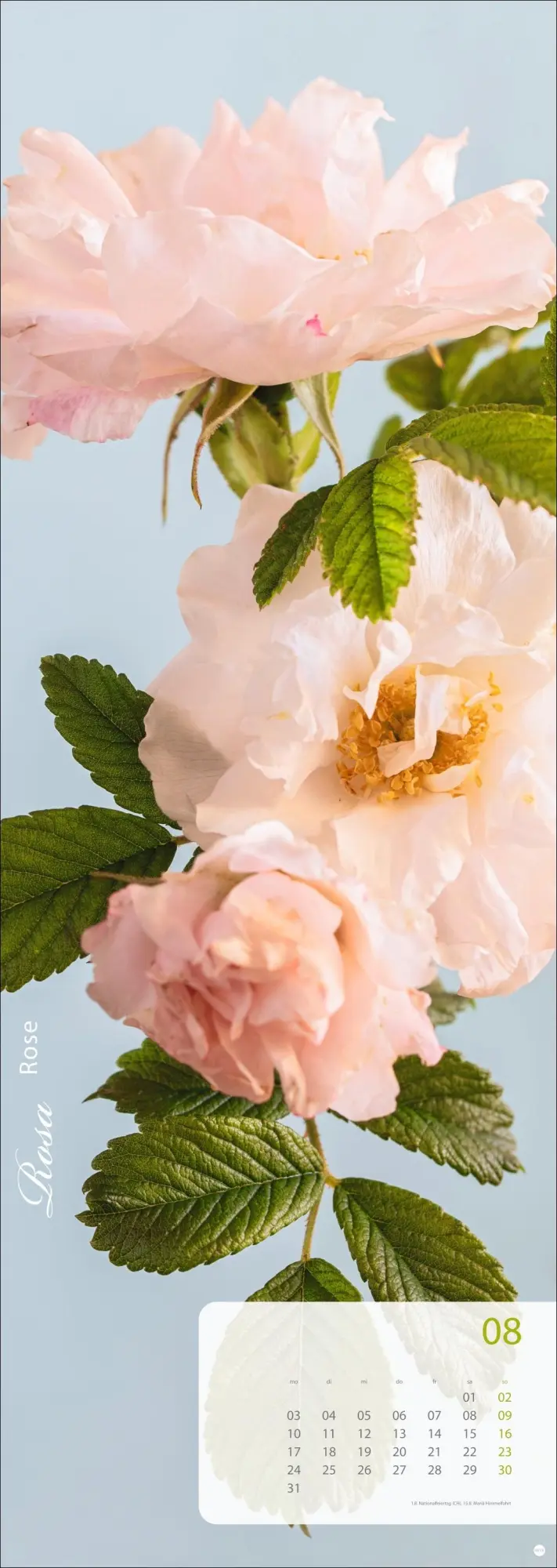 Bild: 9783756410224 | Magic Flowers Vertical Kalender 2026 | Sibylle Pietrek | Kalender