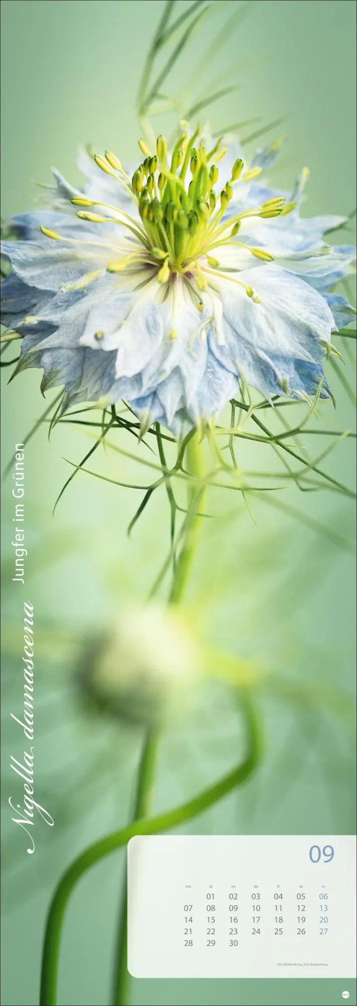 Bild: 9783756410224 | Magic Flowers Vertical Kalender 2026 | Sibylle Pietrek | Kalender