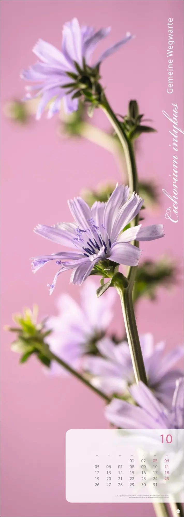 Bild: 9783756410224 | Magic Flowers Vertical Kalender 2026 | Sibylle Pietrek | Kalender