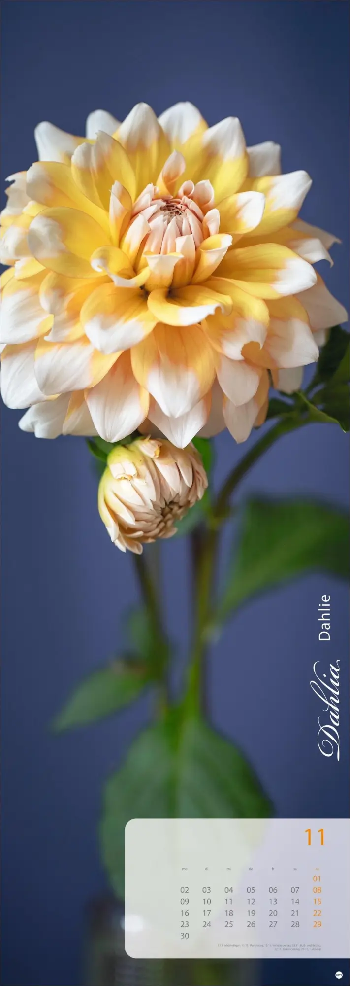 Bild: 9783756410224 | Magic Flowers Vertical Kalender 2026 | Sibylle Pietrek | Kalender