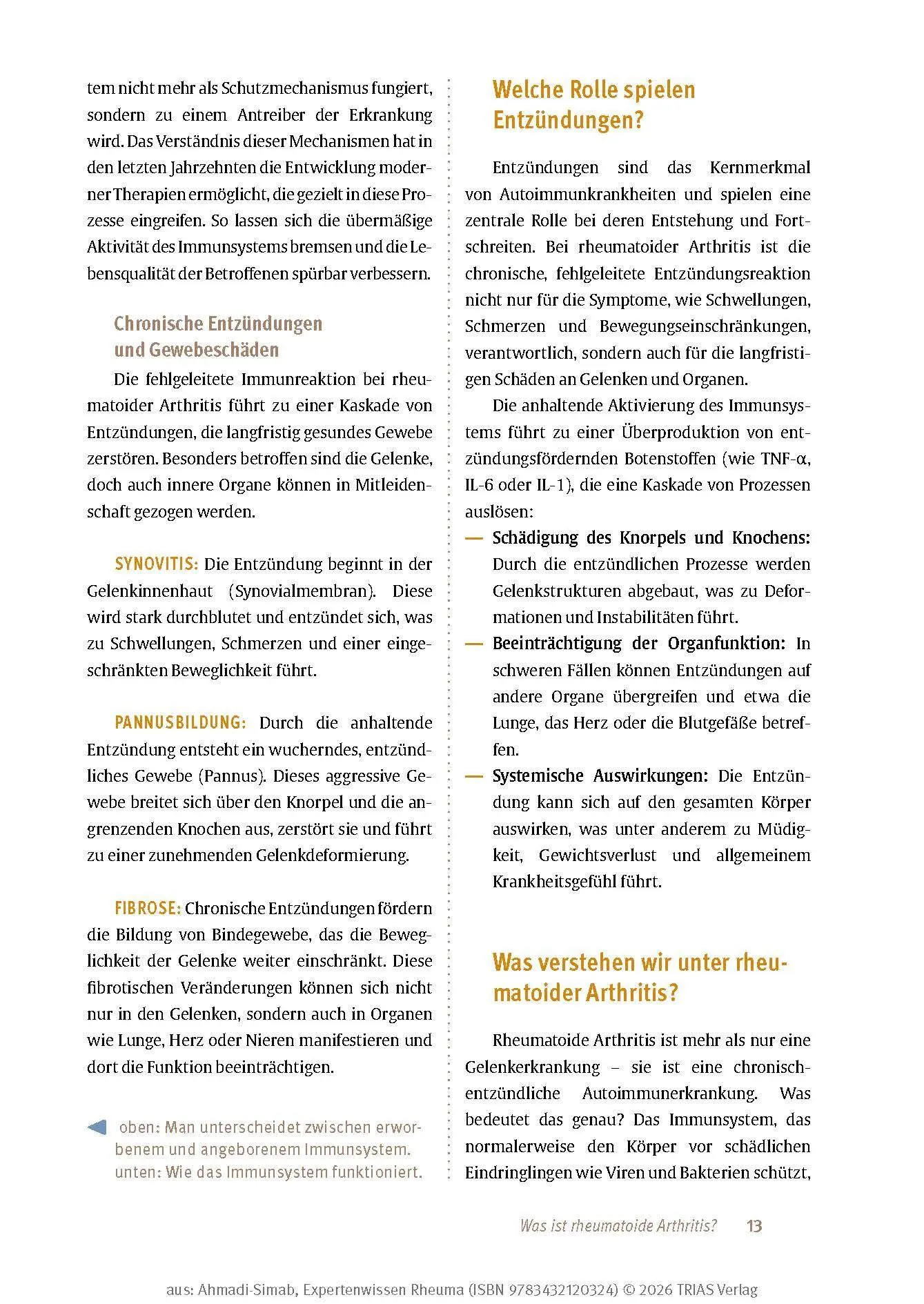 Bild: 9783432120324 | Expertenwissen: Rheuma | Keihan Ahmadi-Simab | Taschenbuch | 160 S.