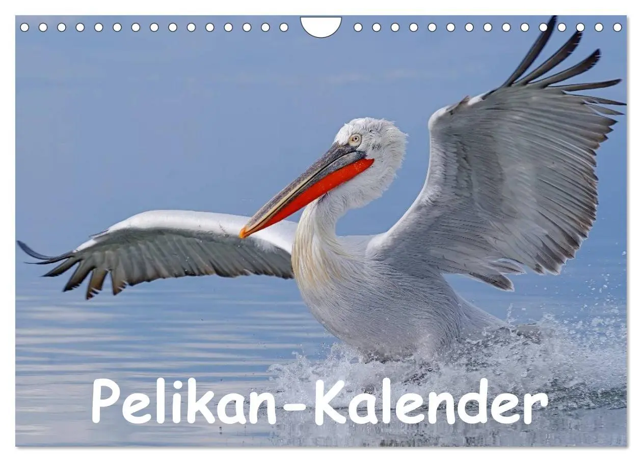 Cover: 9783516130324 | Pelikan-Kalender (Wandkalender 2026 DIN A4 quer), CALVENDO...