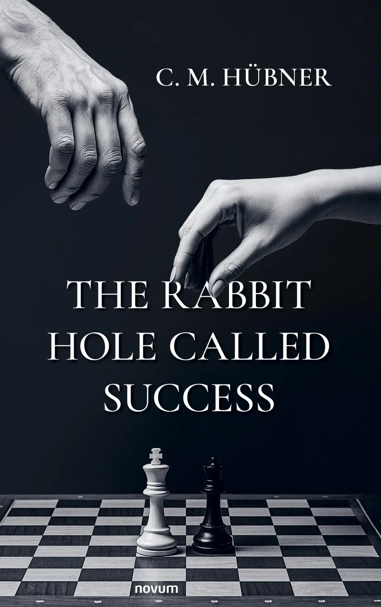 Cover: 9783711610324 | The Rabbit Hole Called Success | C. M. Hübner | Taschenbuch | Deutsch