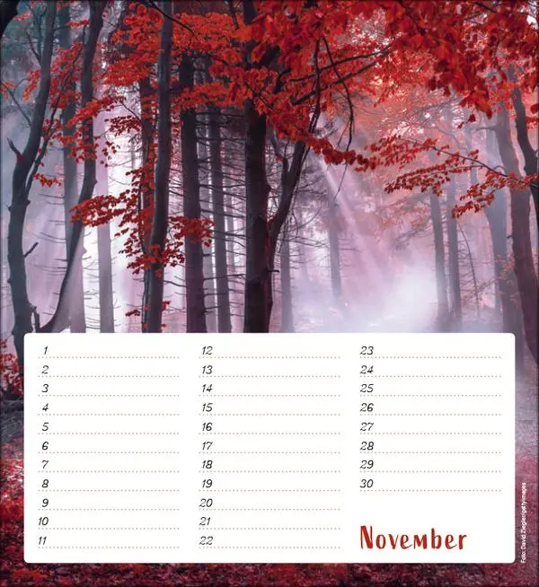 Bild: 9783731890324 | Geburtstagskalender Augenblicke der Stille | Verlag Korsch | Kalender