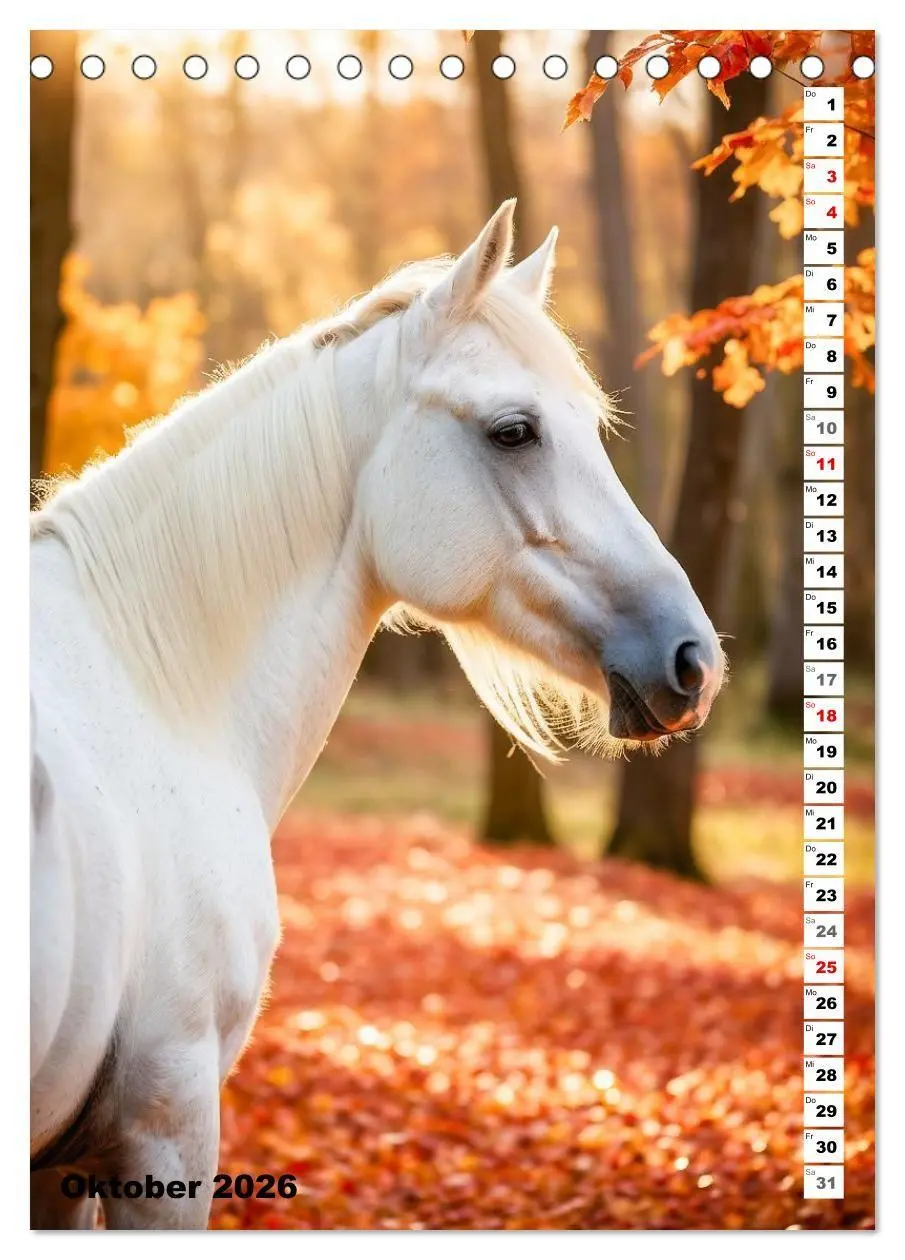 Bild: 9783516670424 | Pferdekalender - Wunderschöne Pferde in Natur und Portraits...