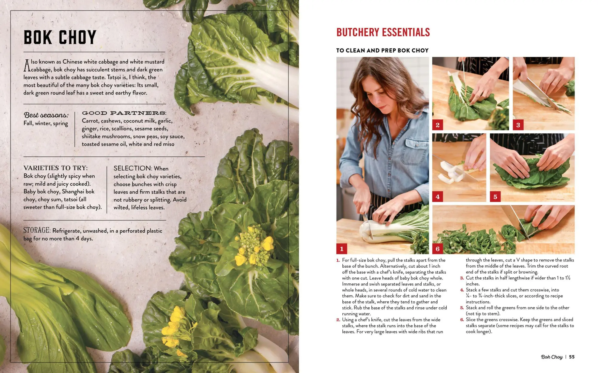 Bild: 9780761180524 | The Vegetable Butcher | Cara Mangini | Buch | Gebunden | Englisch
