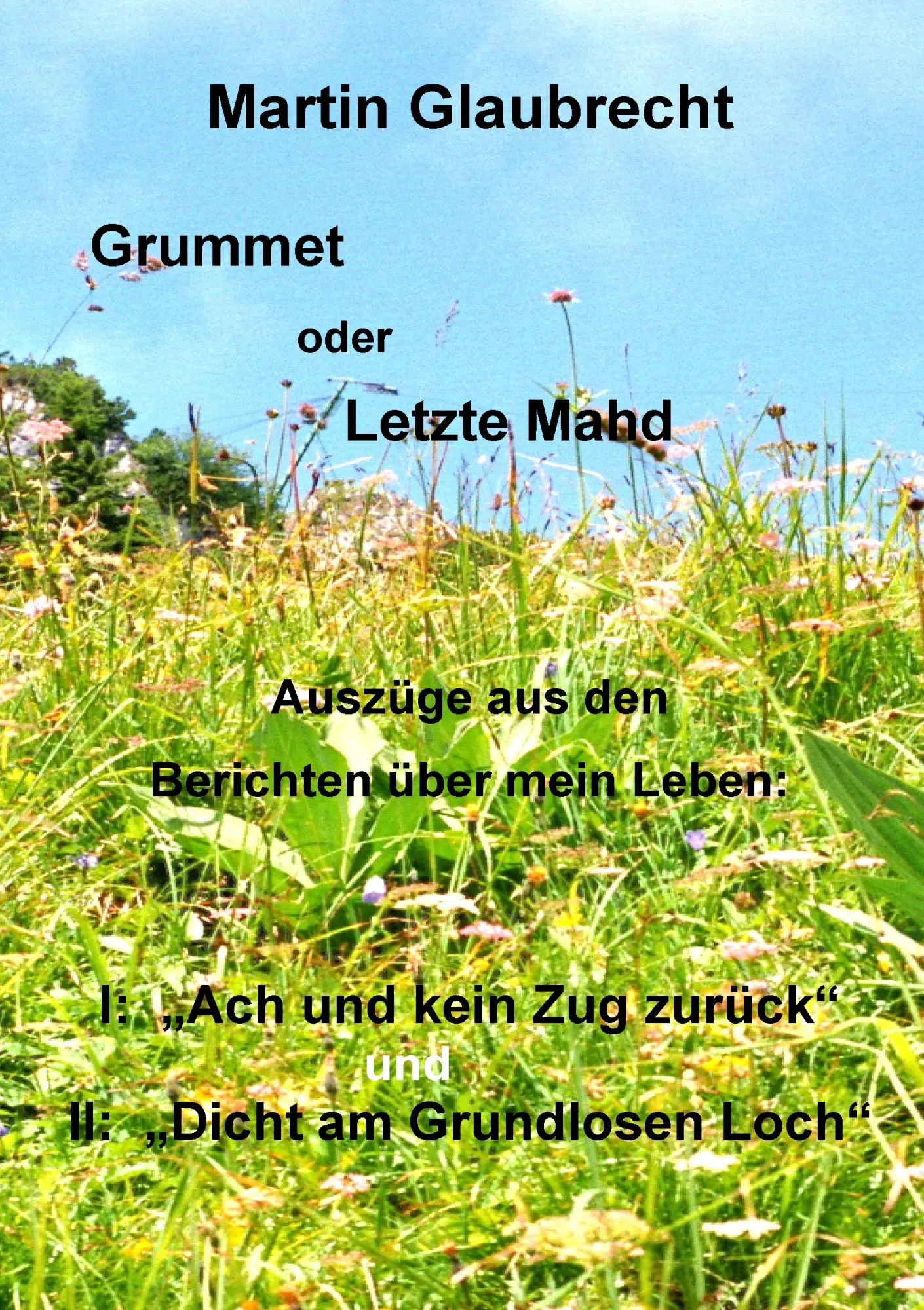 Grummet oder Letzte Mahd: Auszüge aus den Berichten über mein Leben: I: Ach - und kein Zug zurück und Dicht am Grundlosen Loch